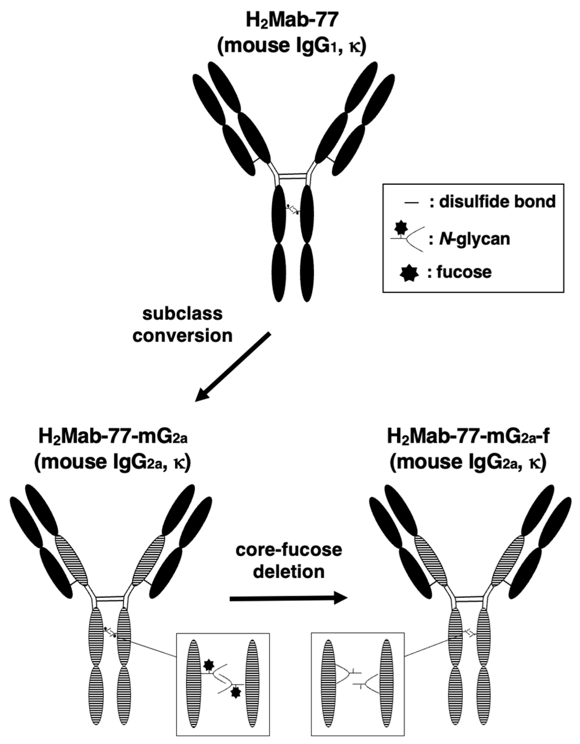 Preprints 79293 g001