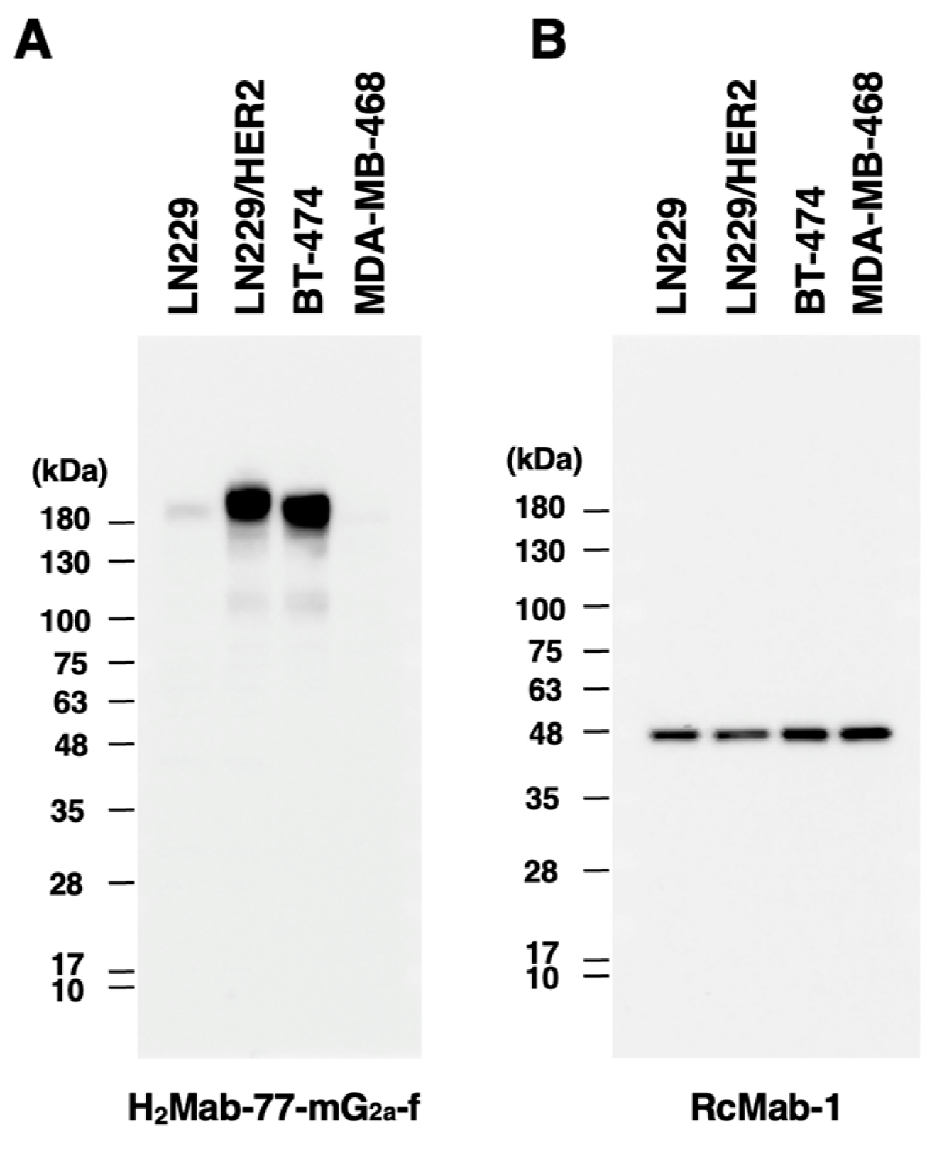 Preprints 79293 g003