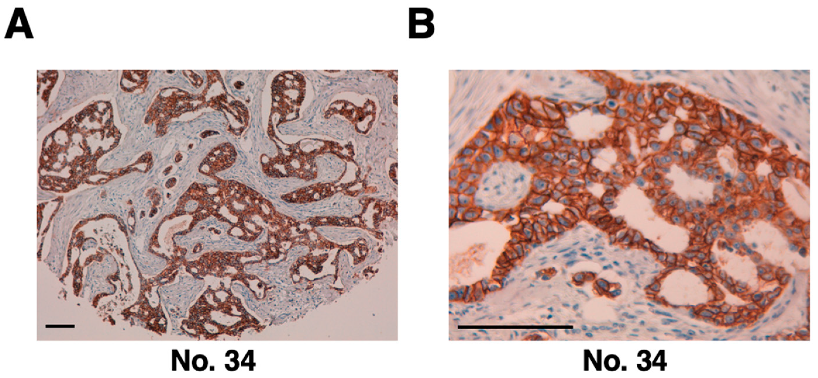 Preprints 79293 g004