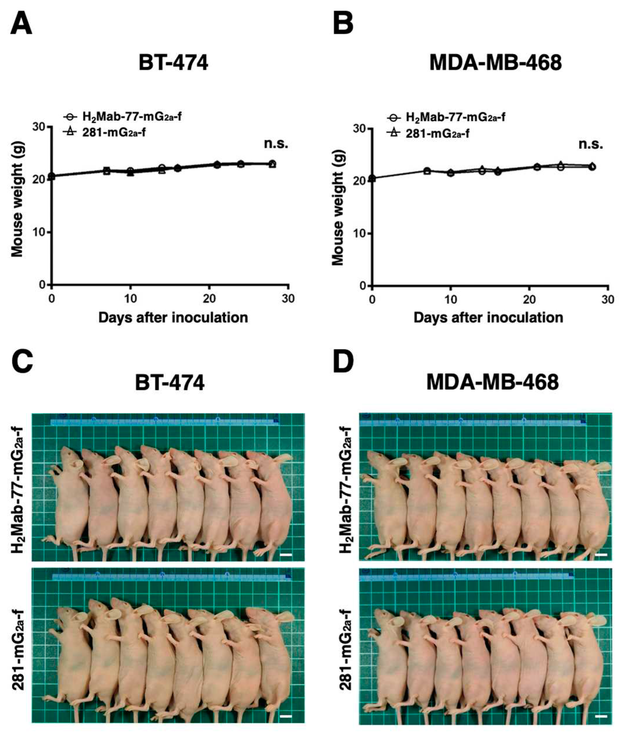 Preprints 79293 g007