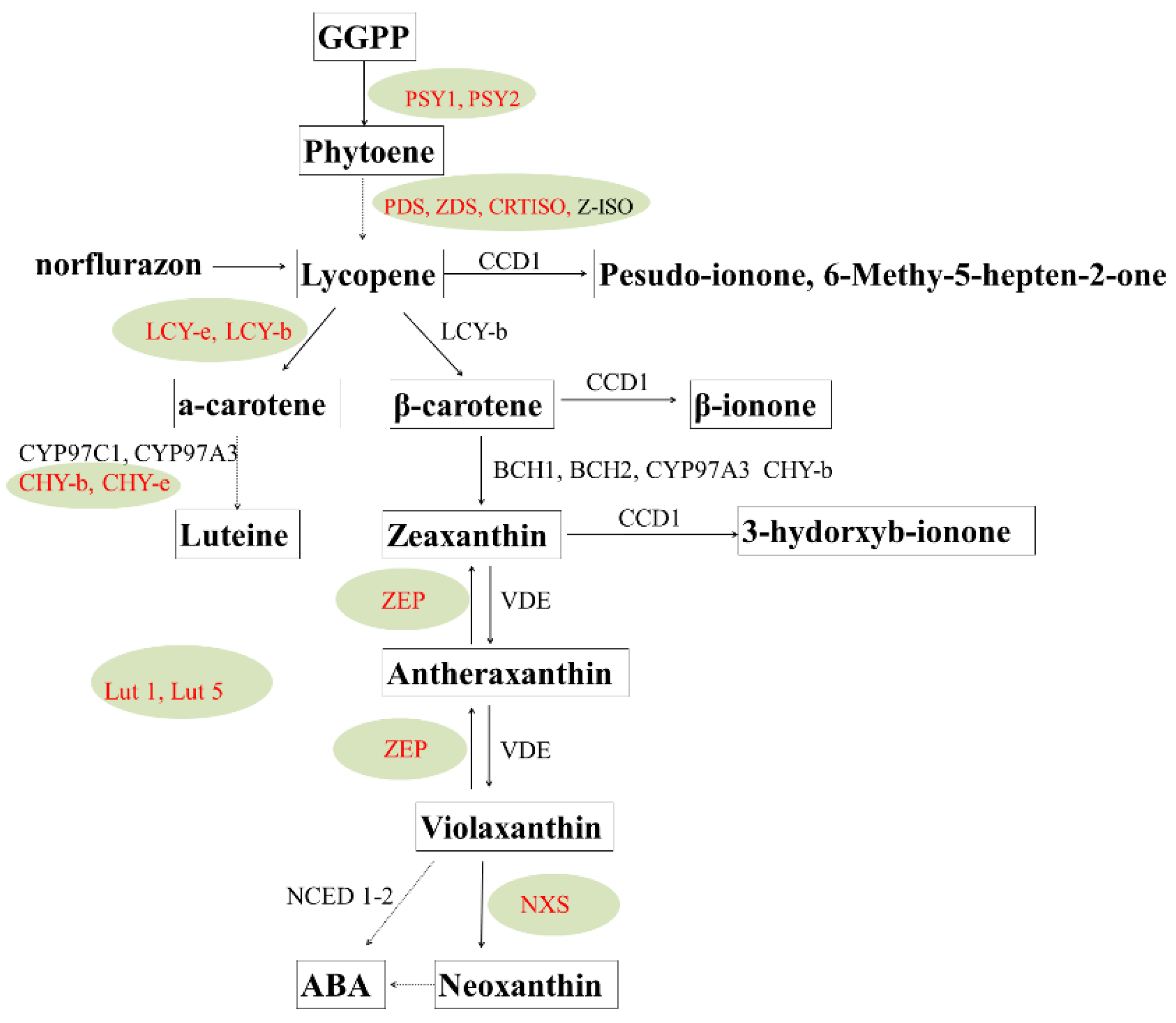 Preprints 73005 g002