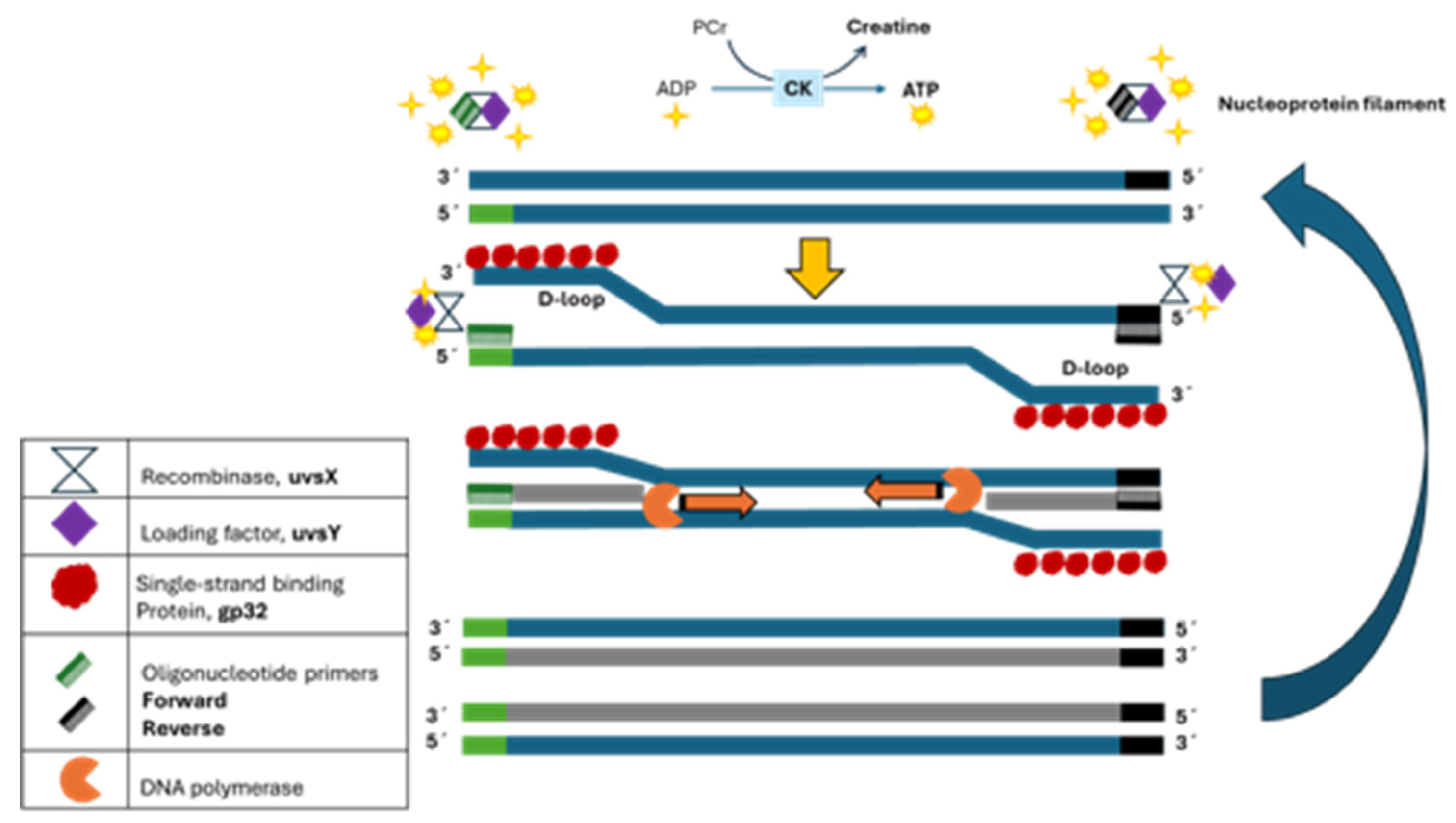 Preprints 116586 g001