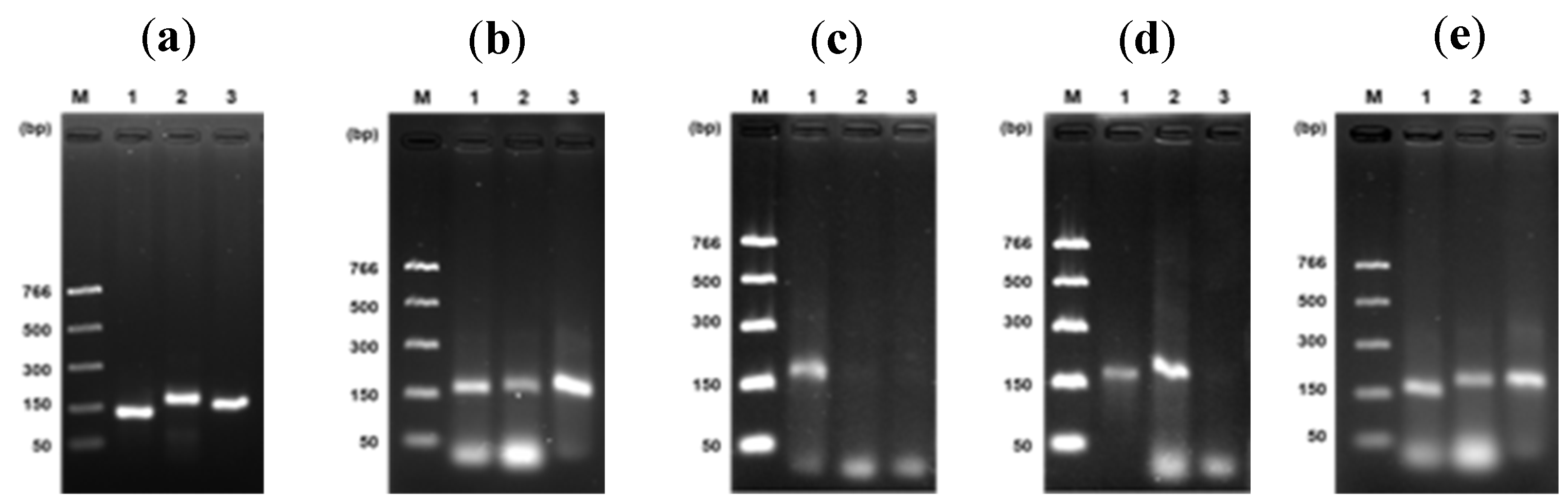 Preprints 116586 g003