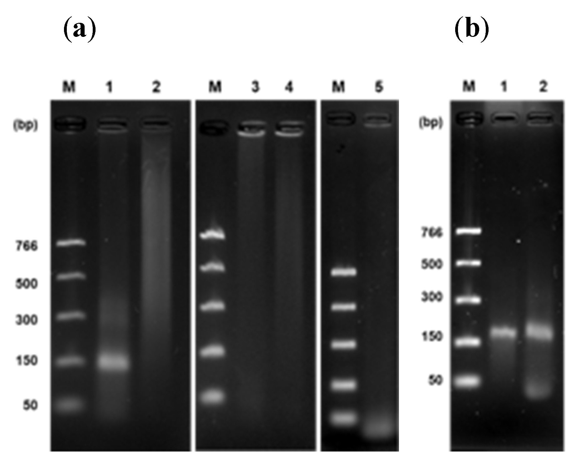 Preprints 116586 g004