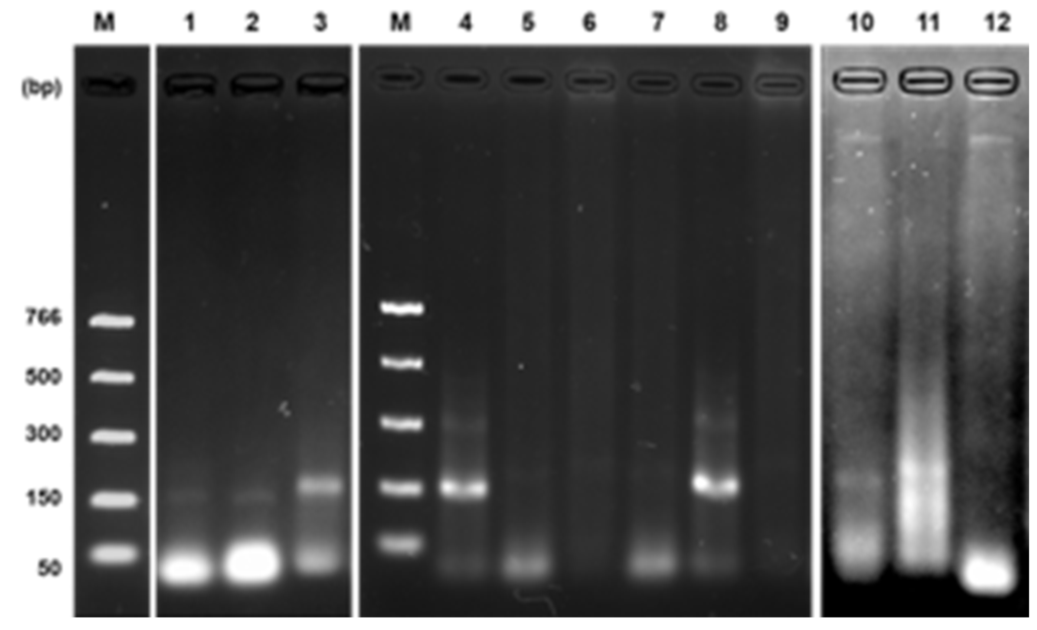 Preprints 116586 g005