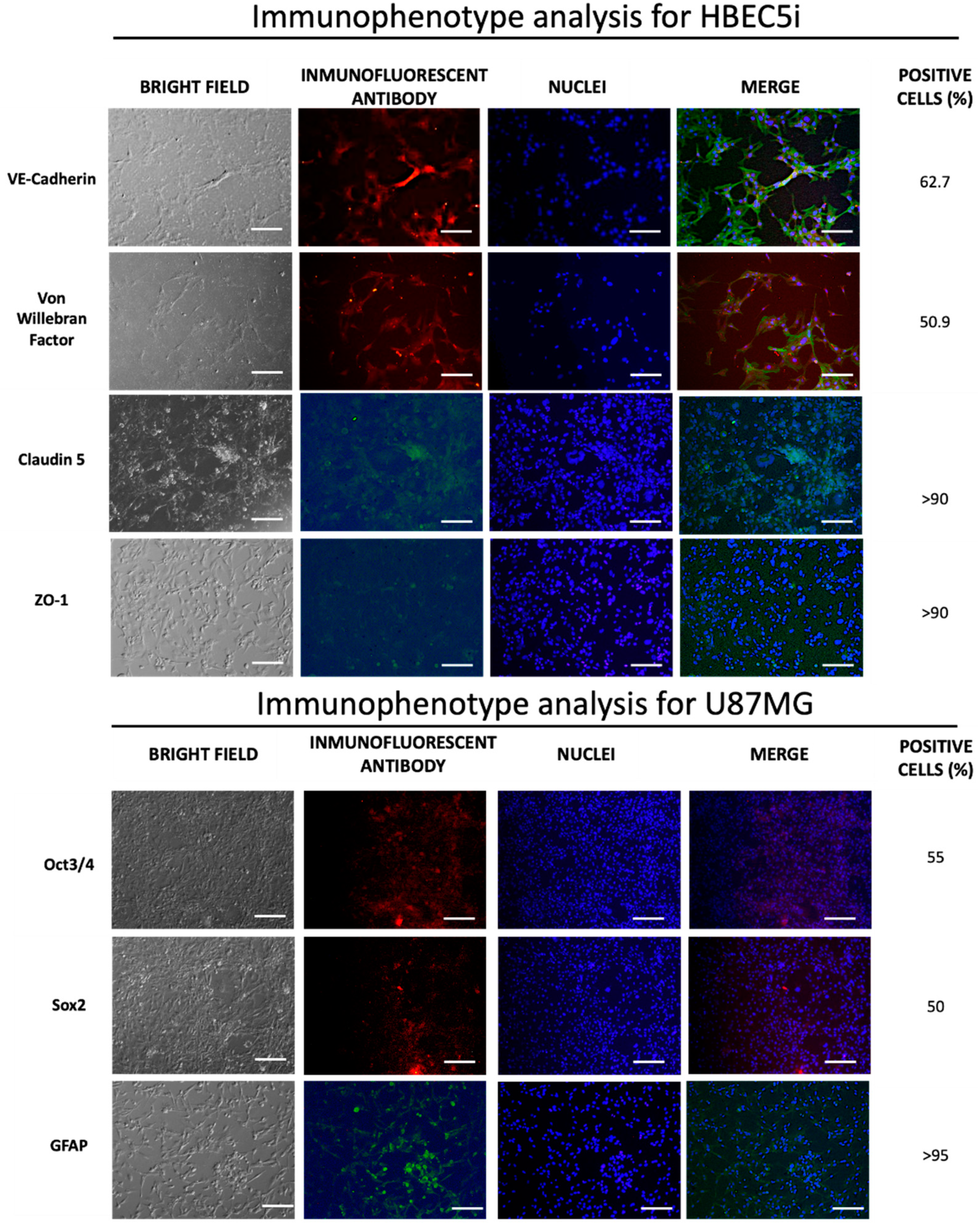 Preprints 95709 g004