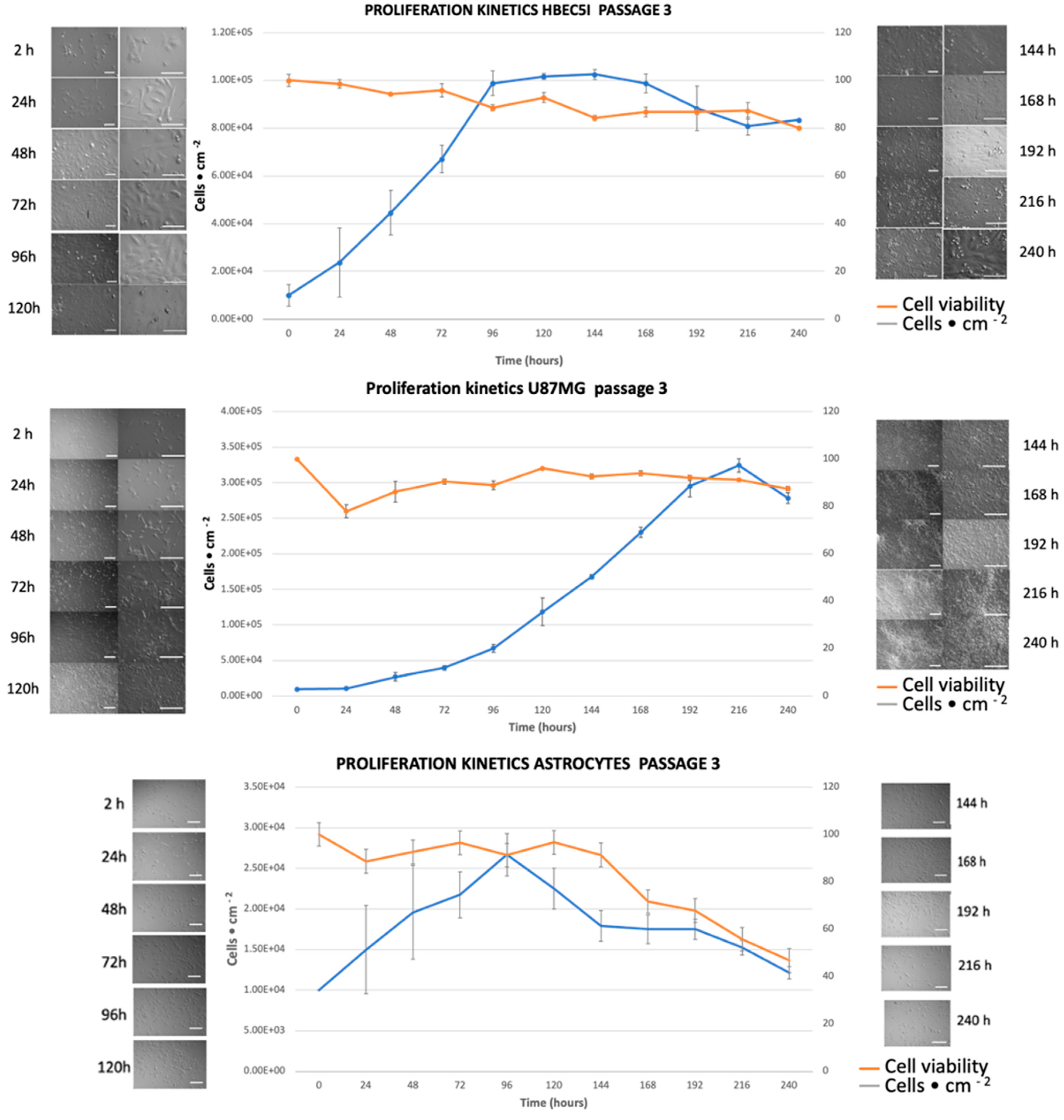 Preprints 95709 g005