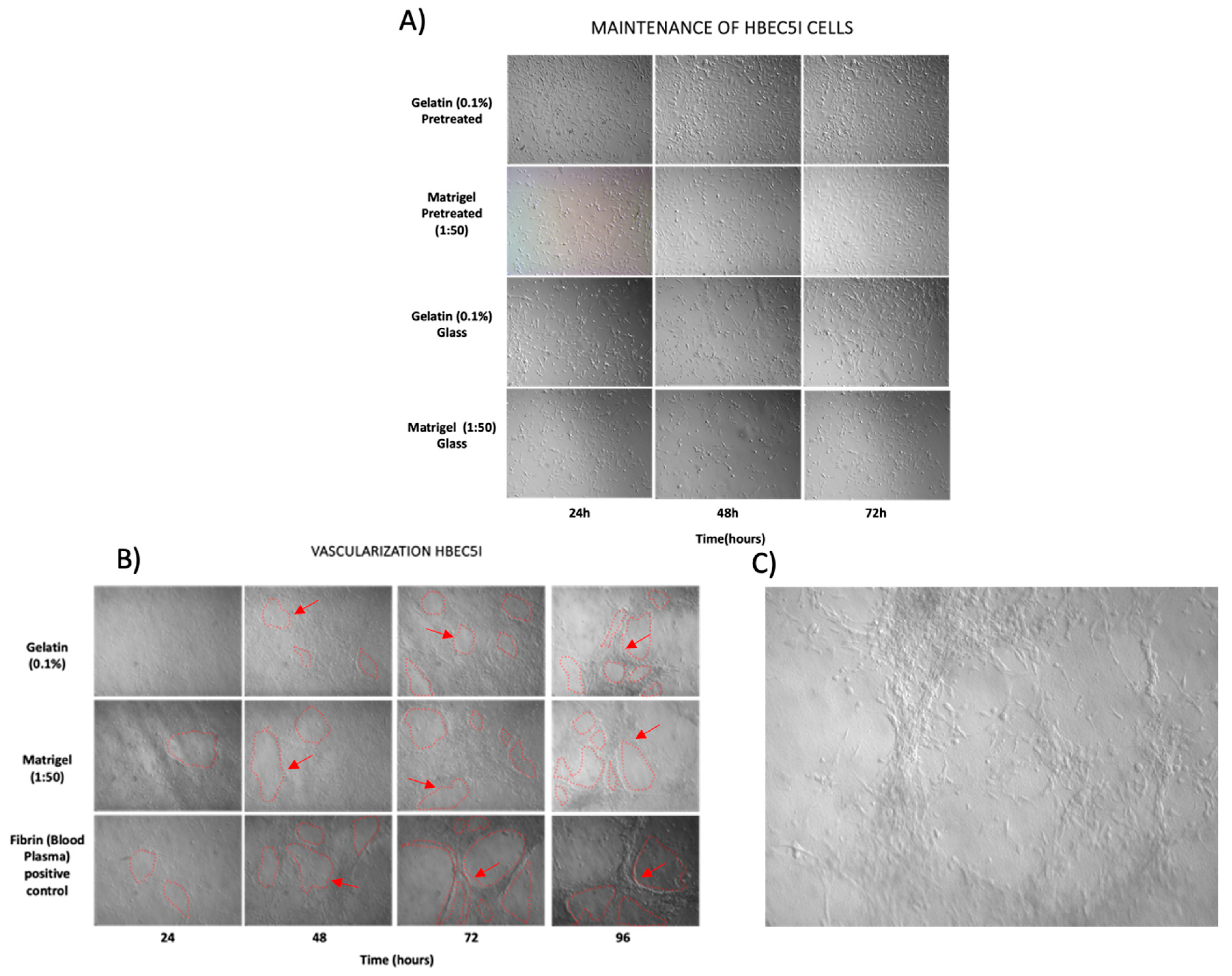 Preprints 95709 g006