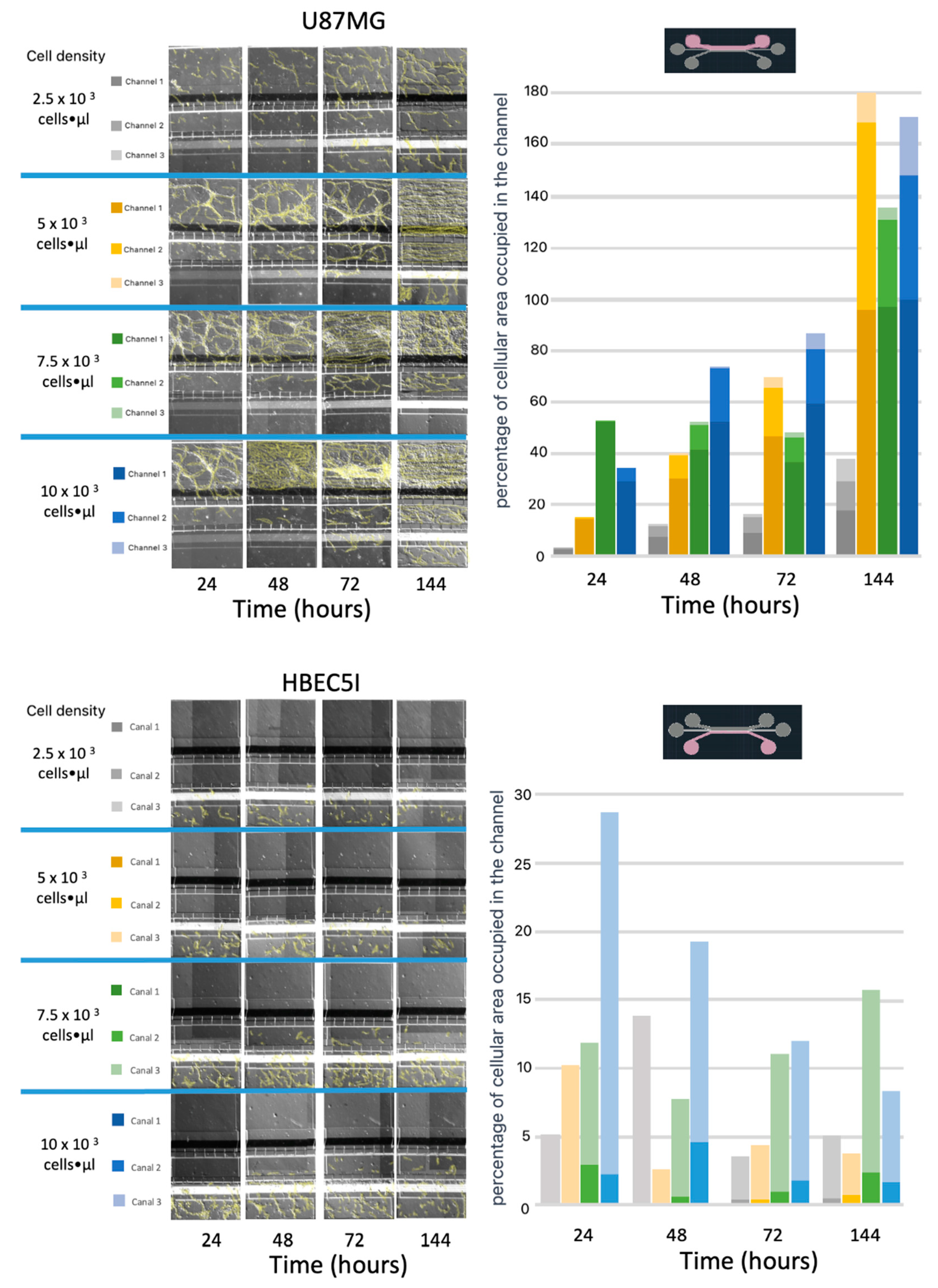 Preprints 95709 g007