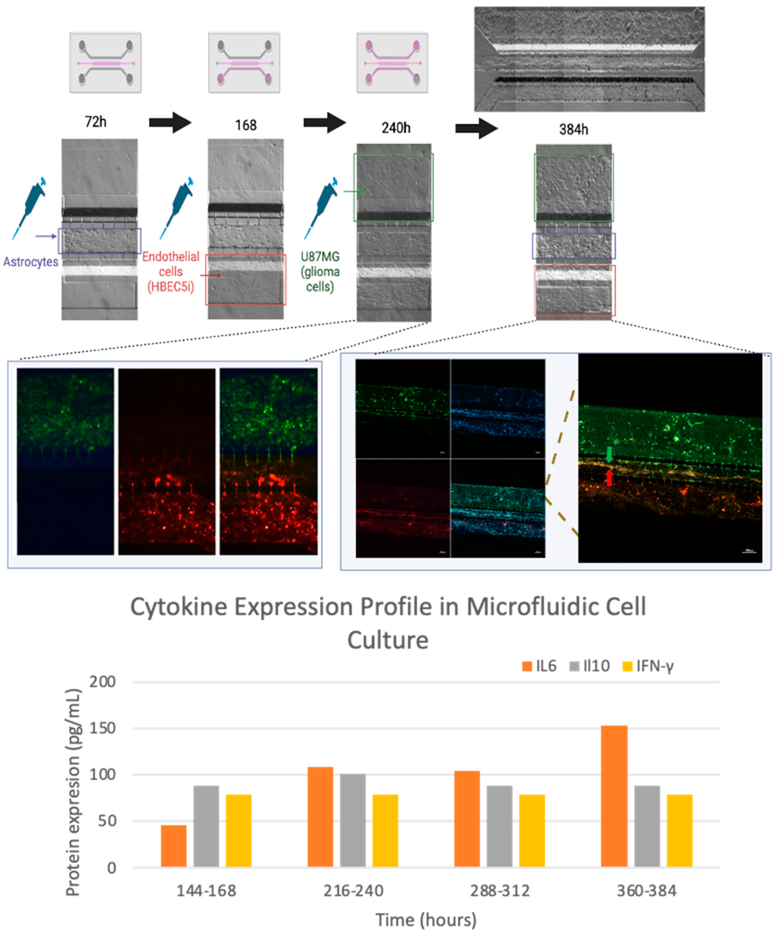 Preprints 95709 g010