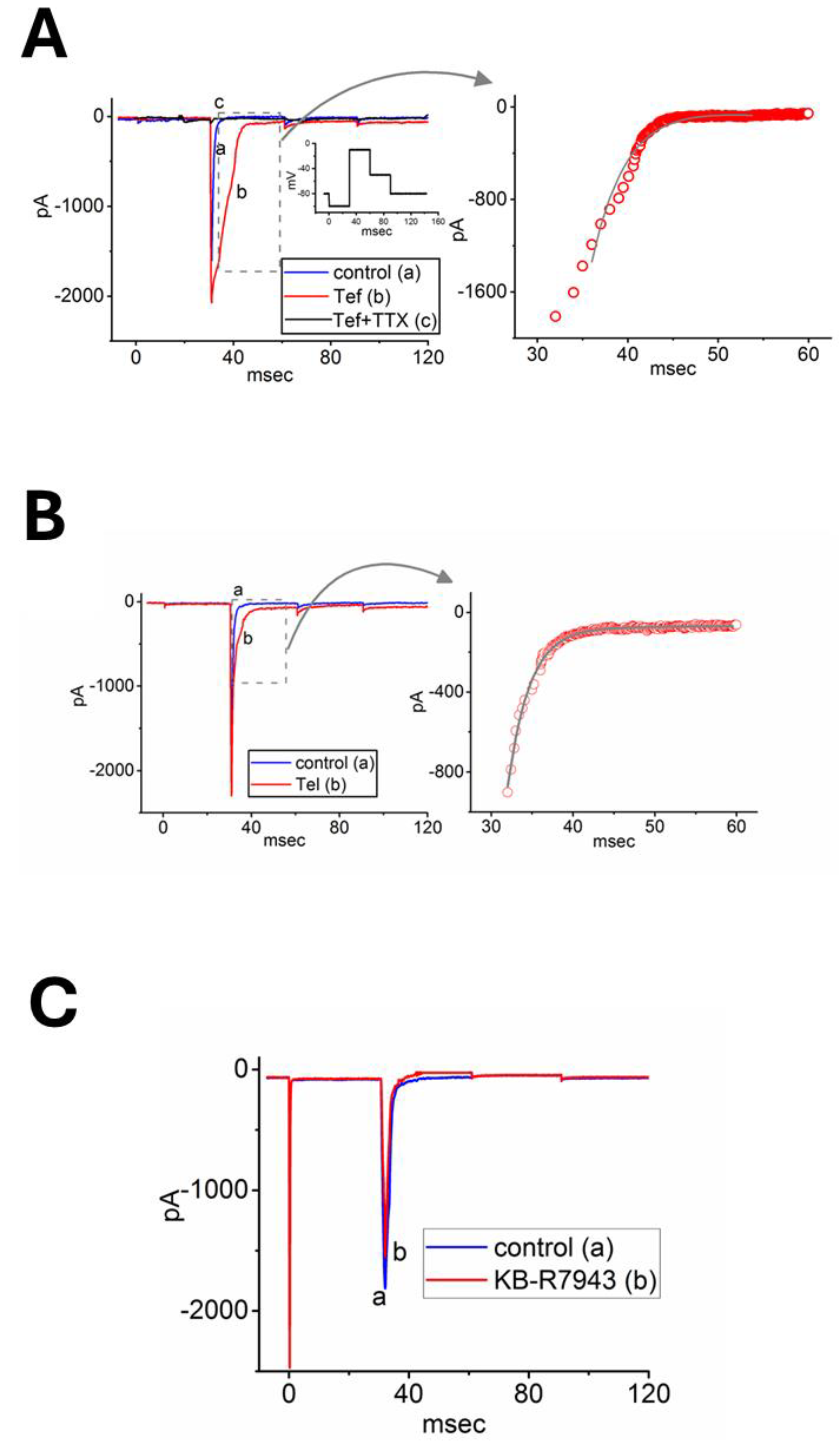 Preprints 116863 g002