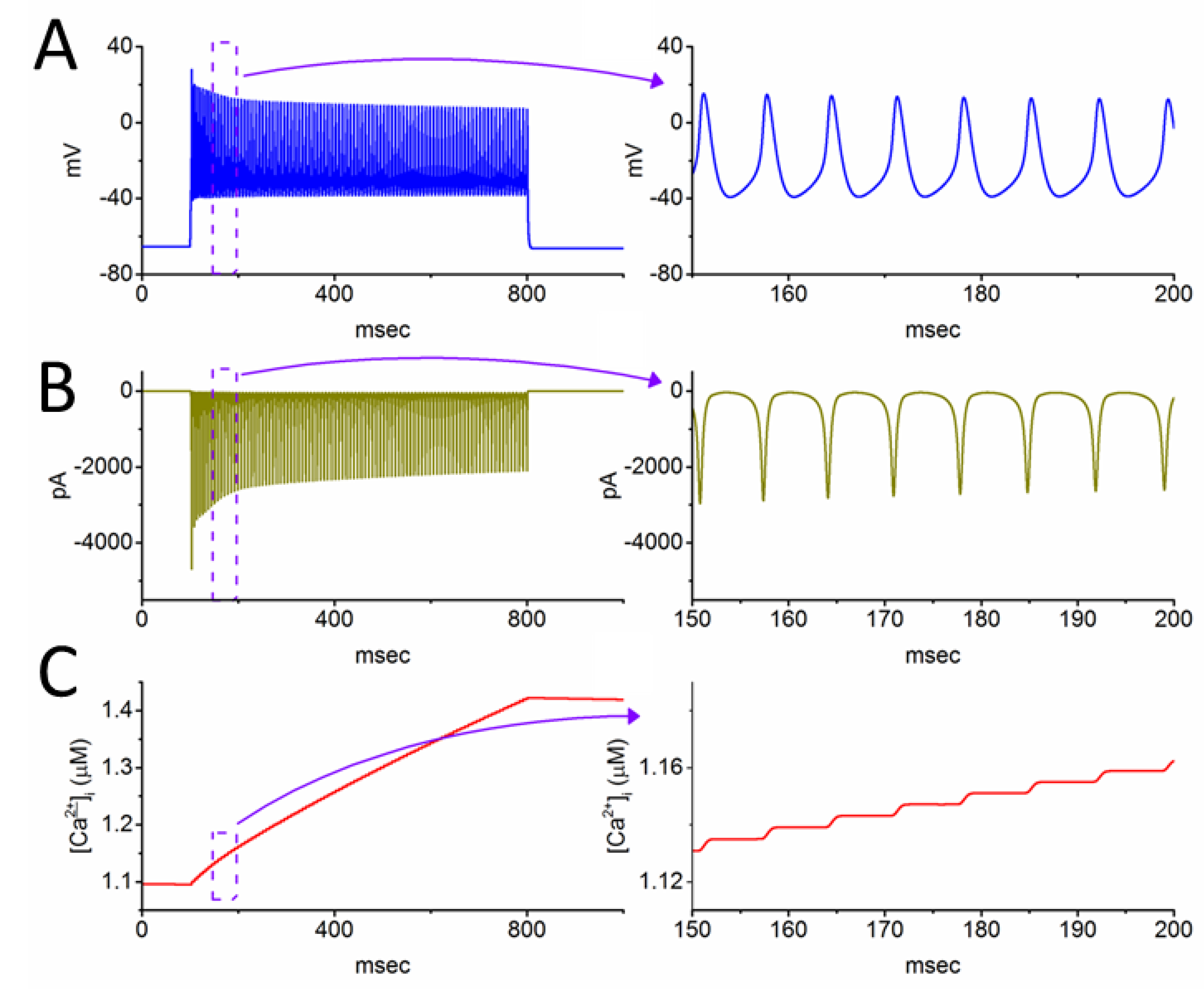 Preprints 116863 g007