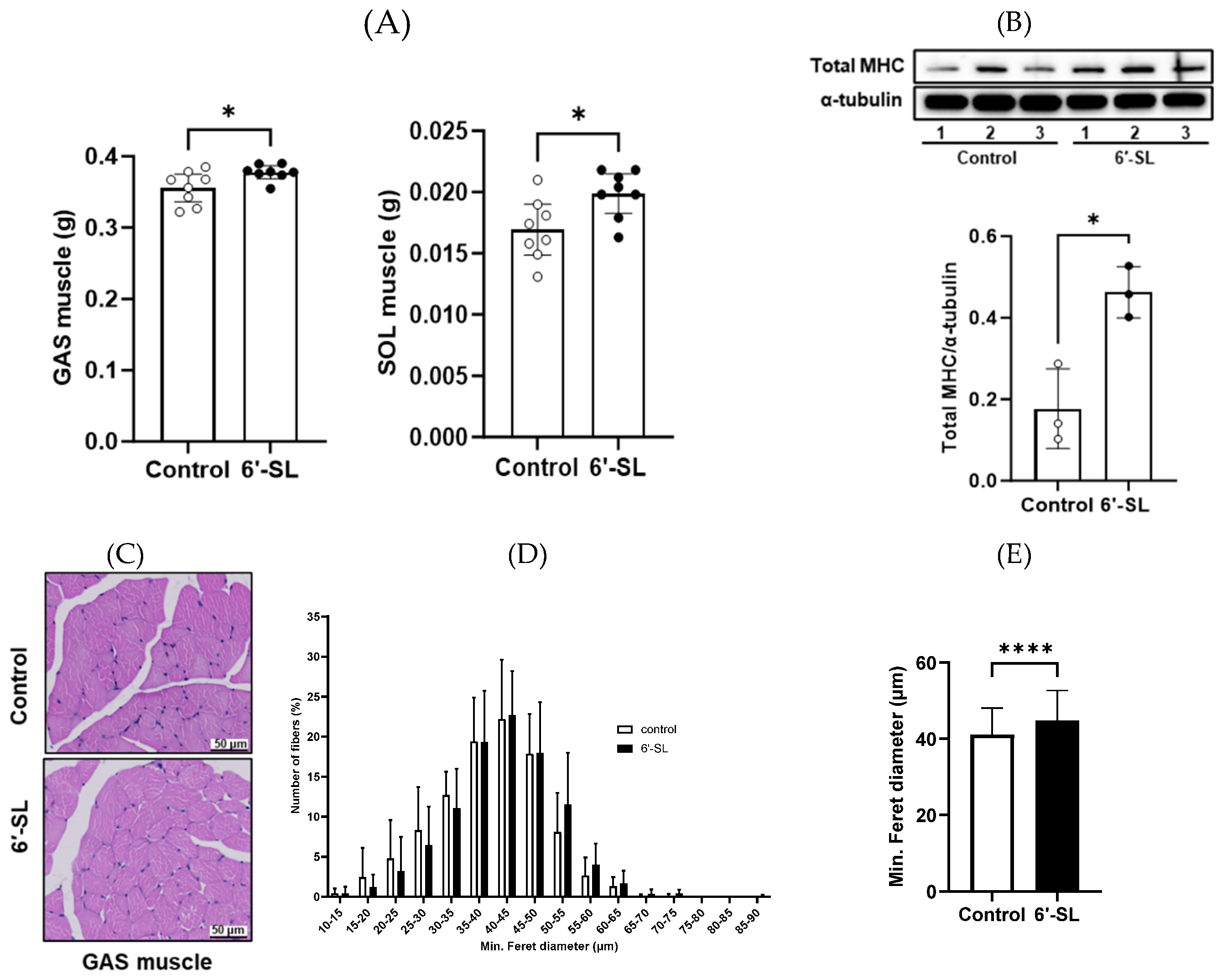 Preprints 113000 g002