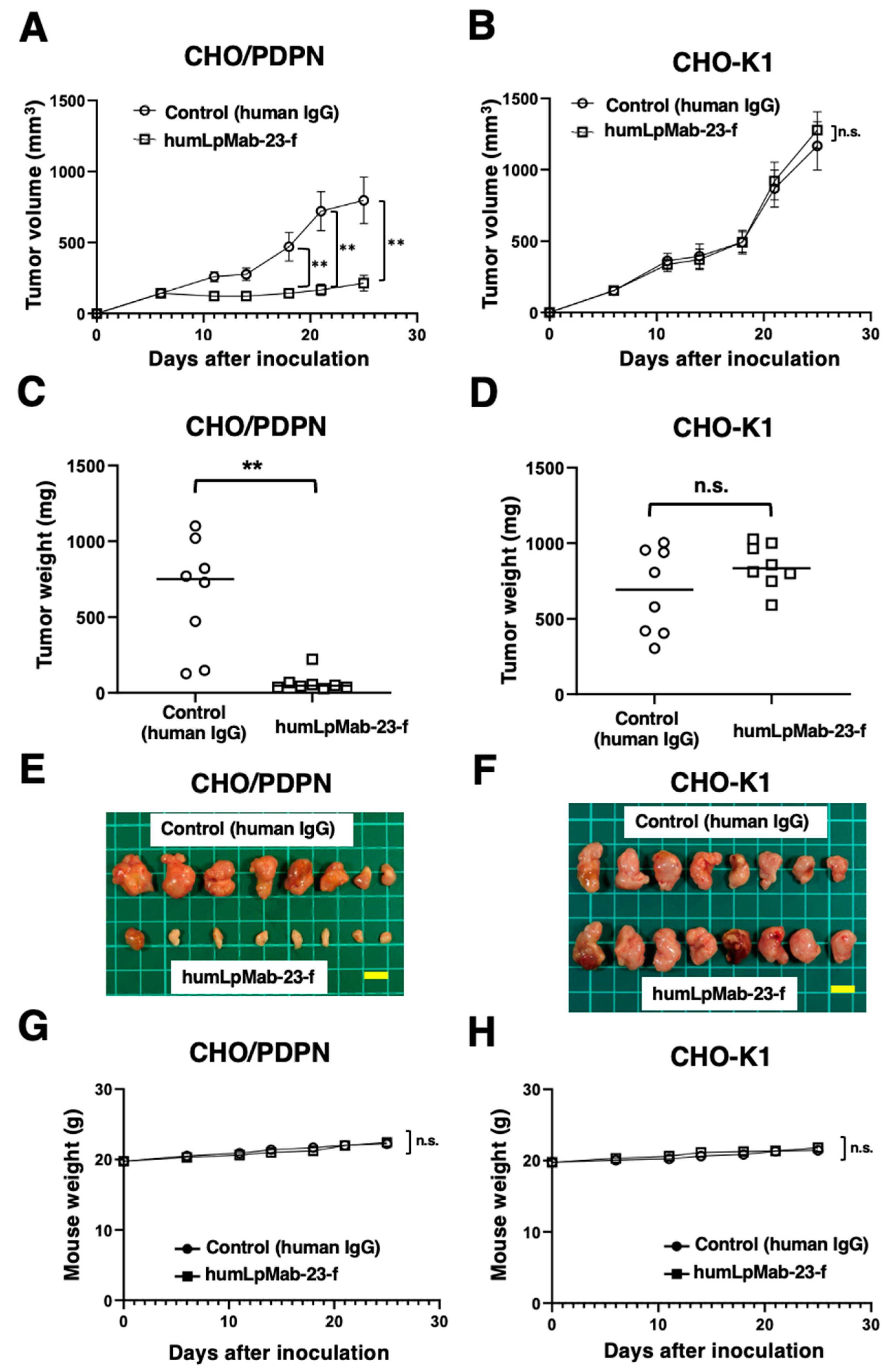 Preprints 83191 g003