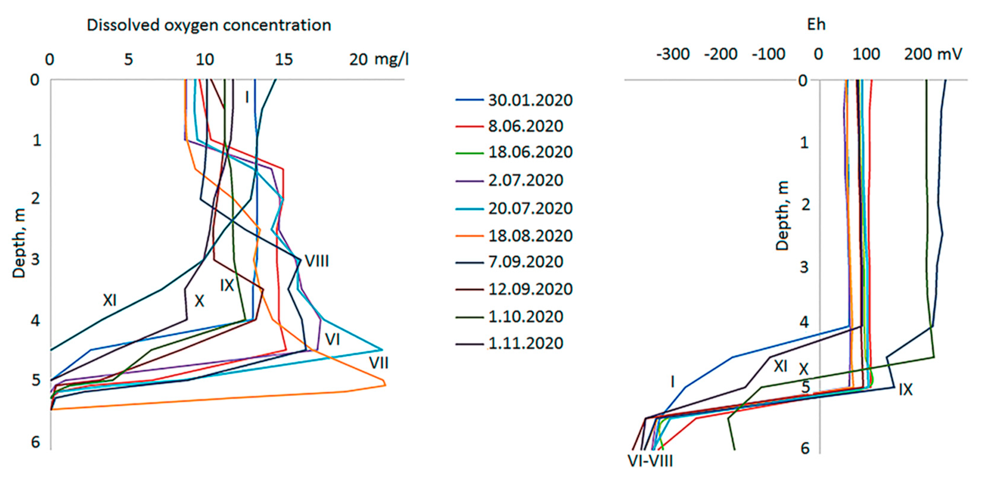 Preprints 82193 g004