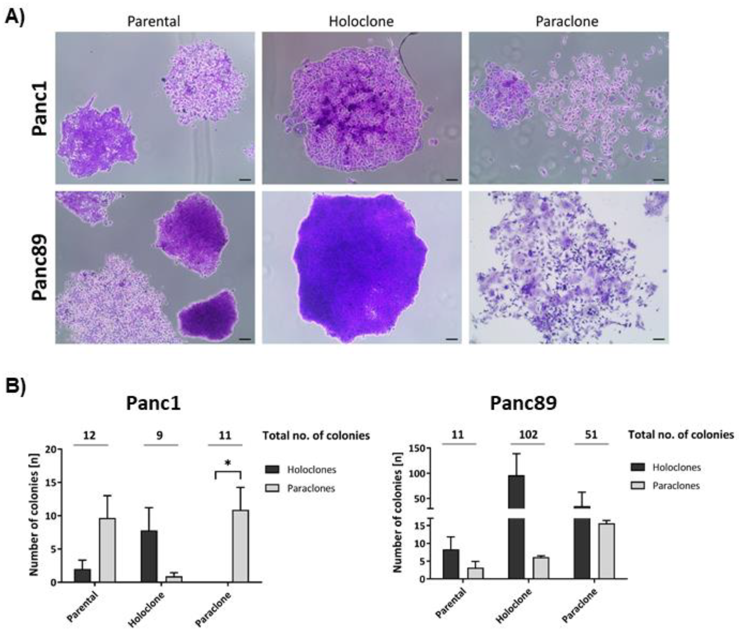 Preprints 90615 g001