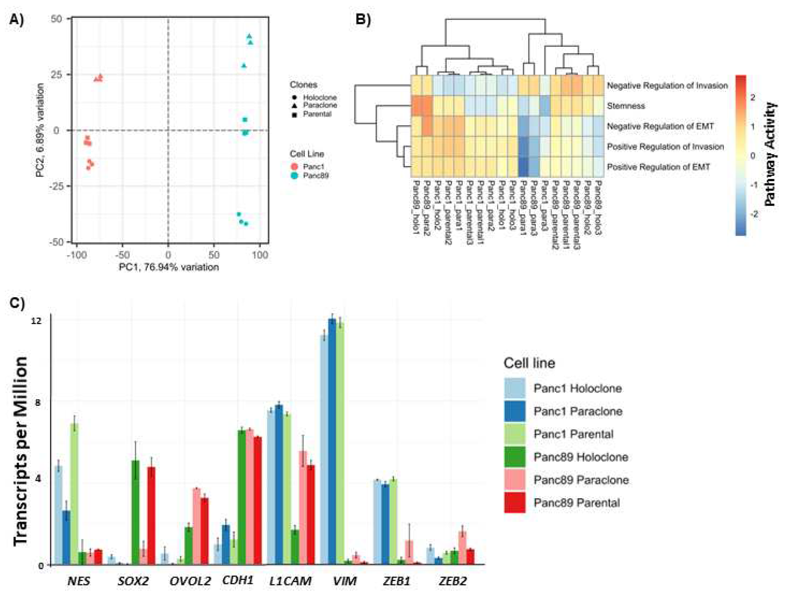 Preprints 90615 g002a