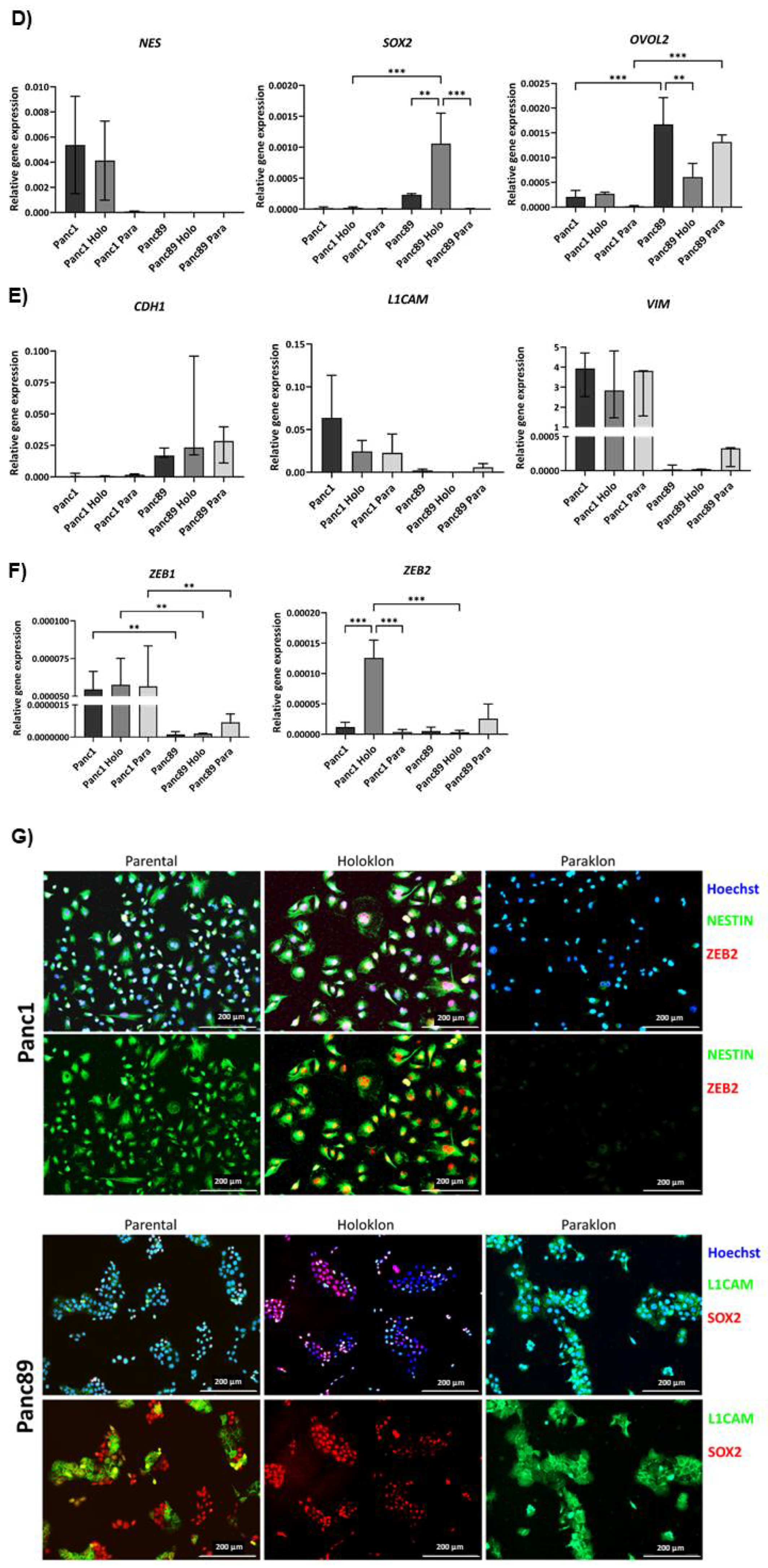 Preprints 90615 g002b