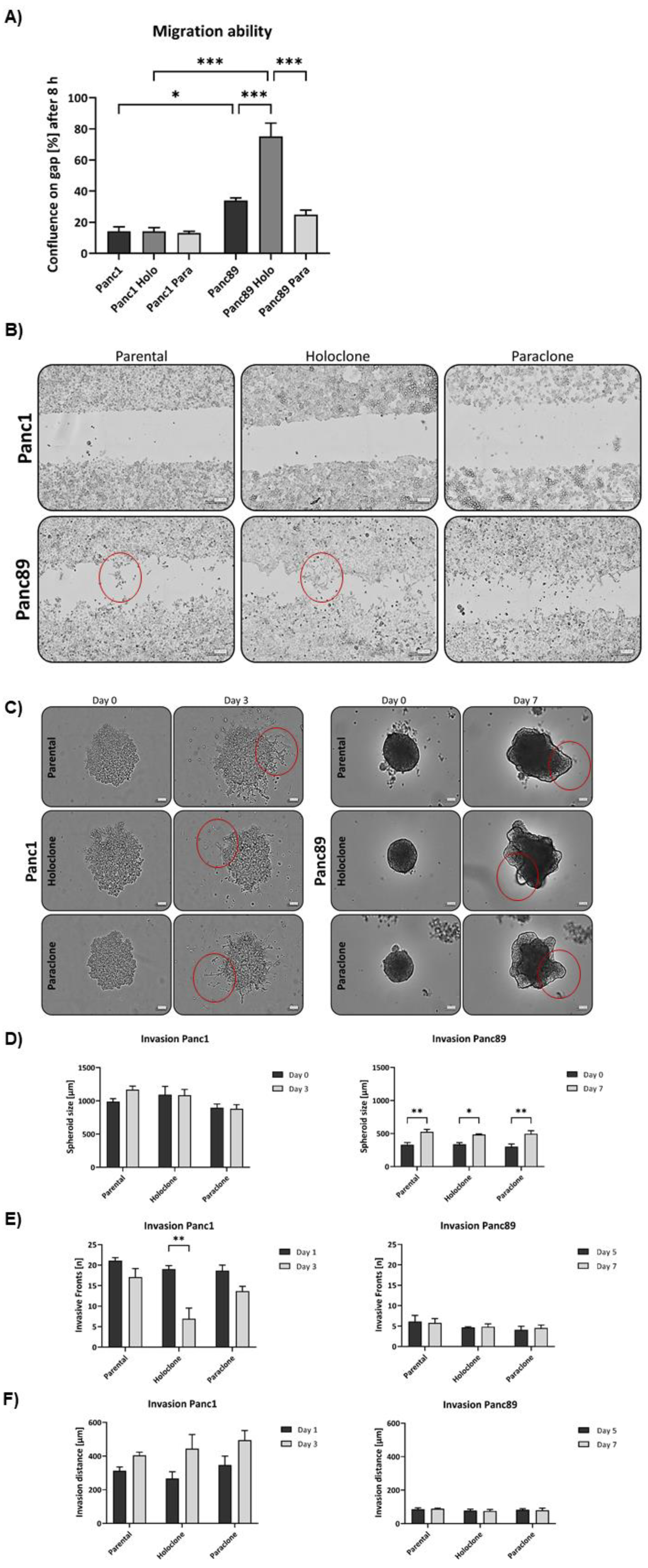 Preprints 90615 g004a