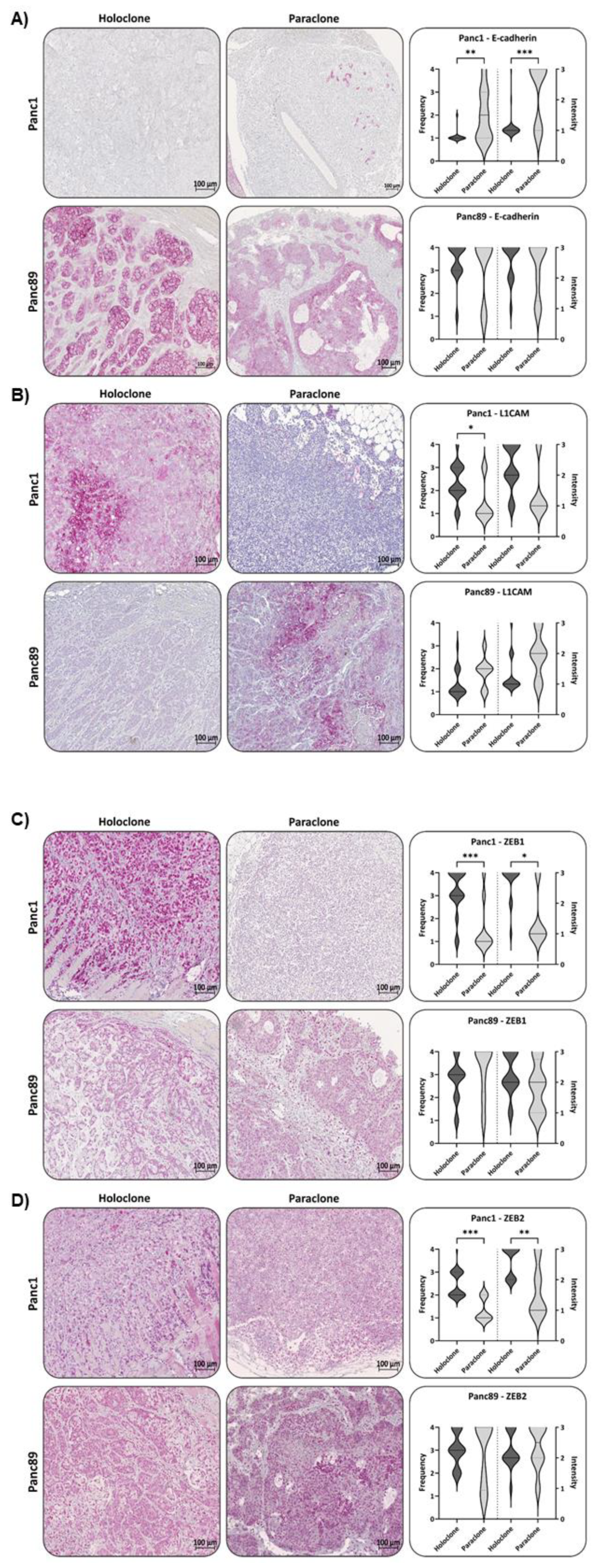 Preprints 90615 g006a