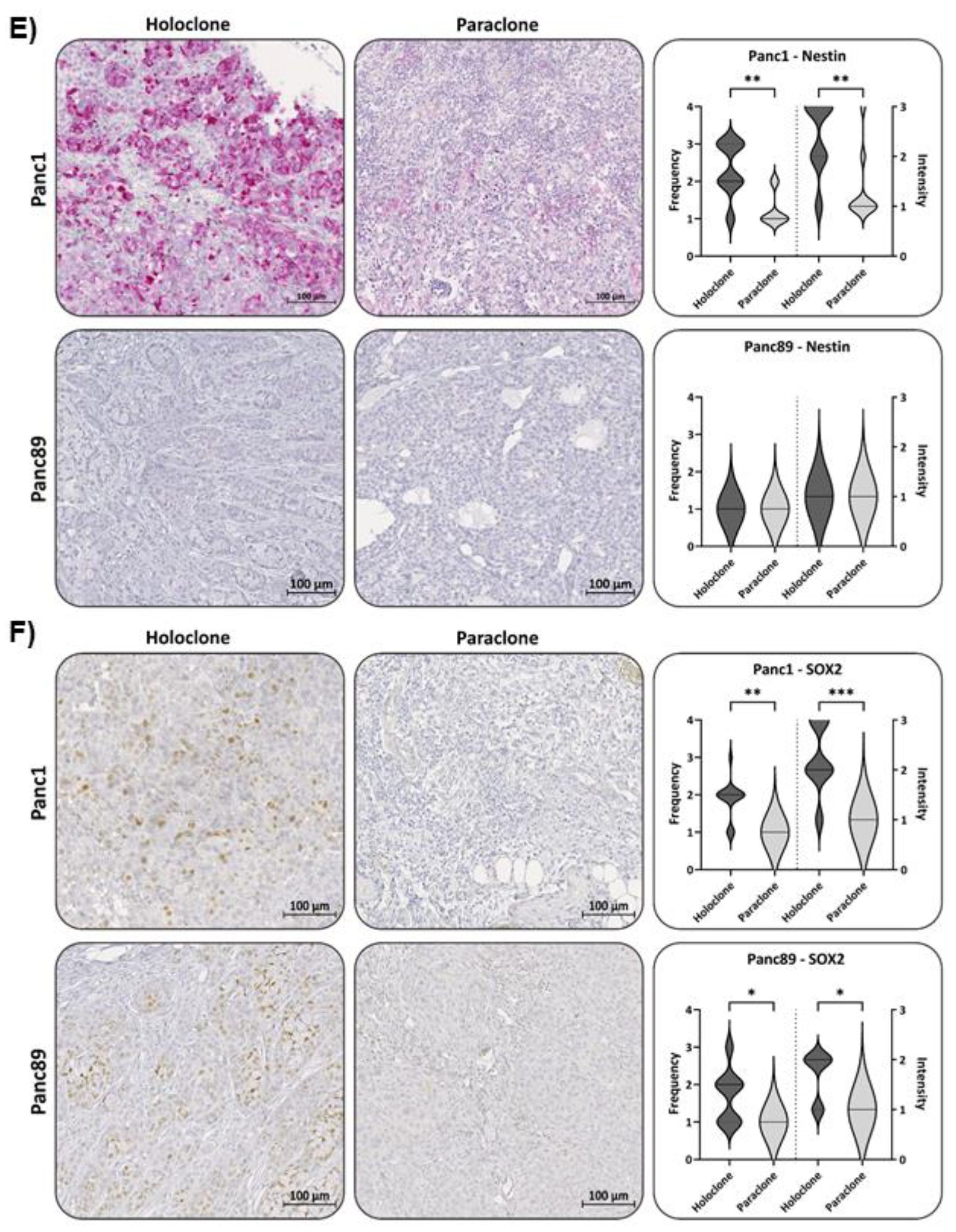 Preprints 90615 g006b