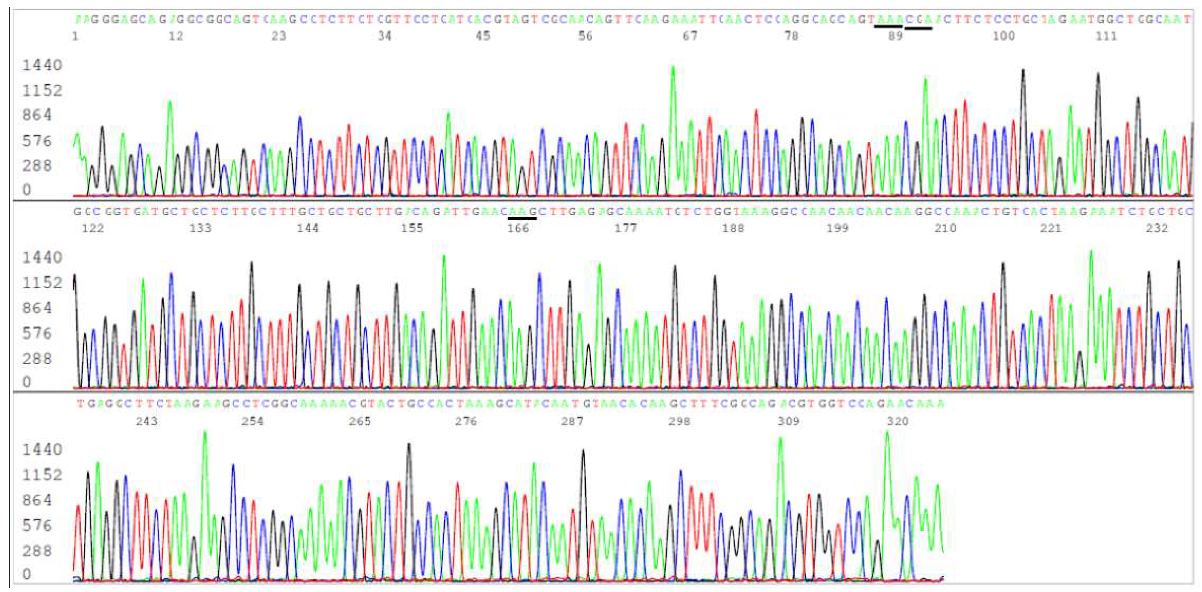 Preprints 100976 g001