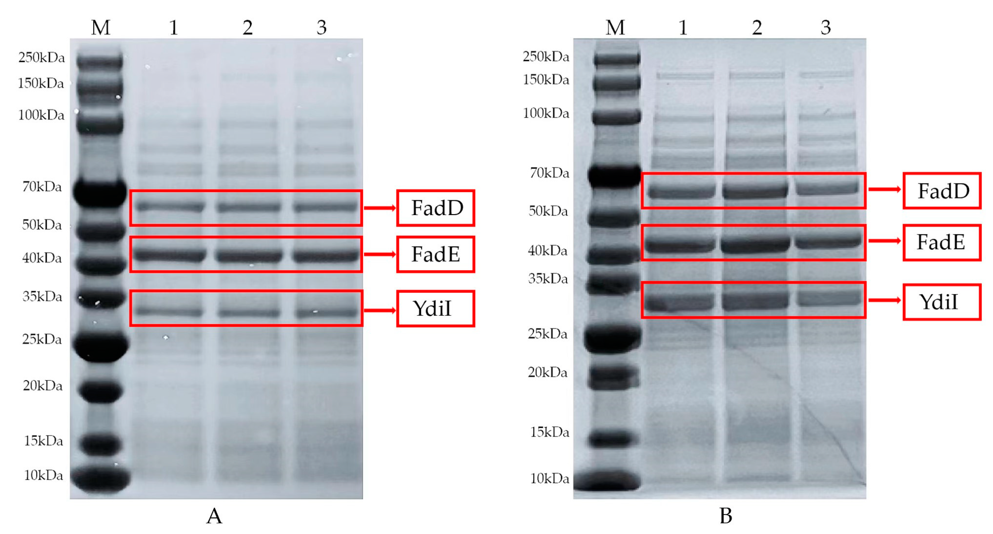 Preprints 88470 g007