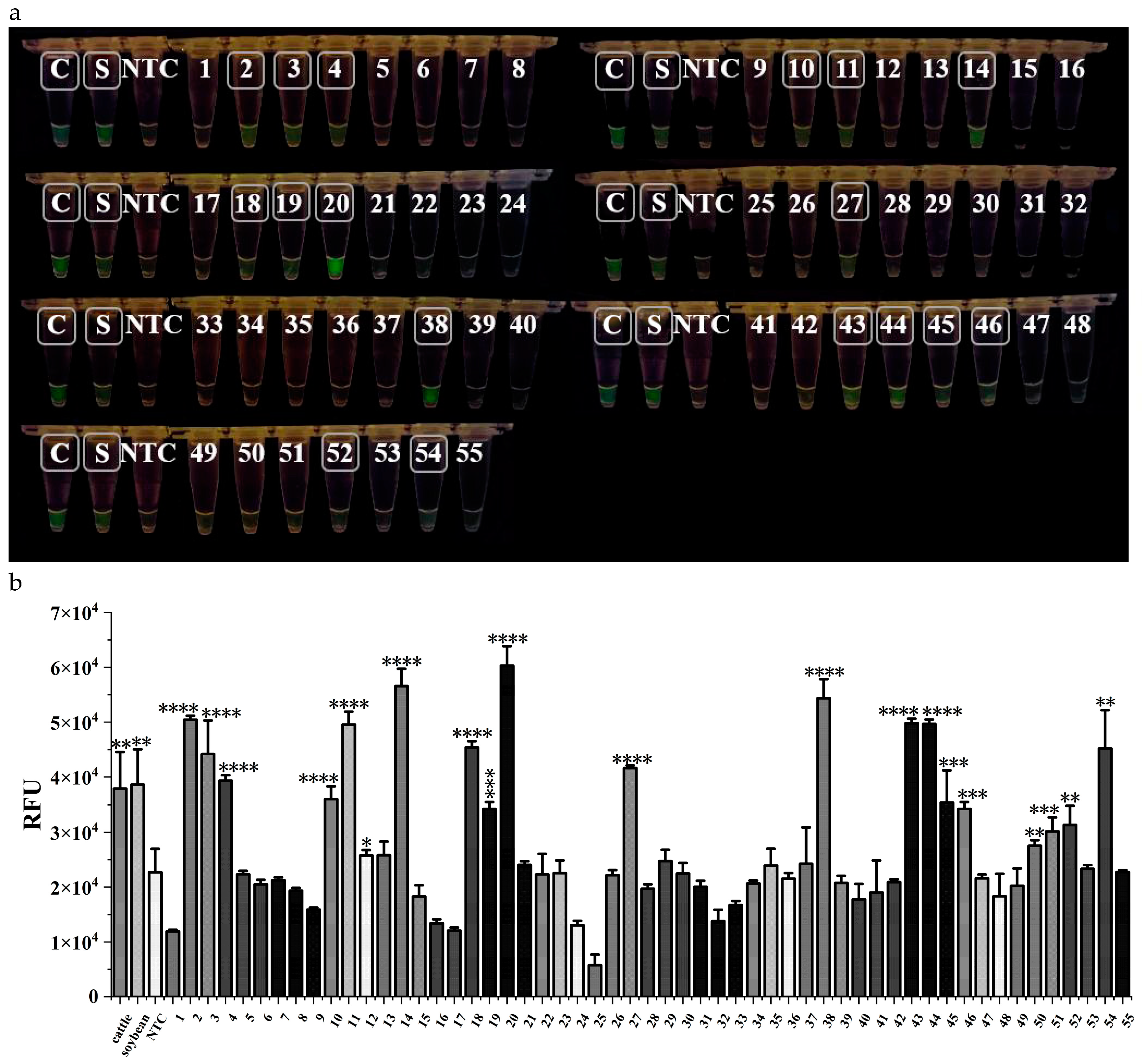 Preprints 103751 g005