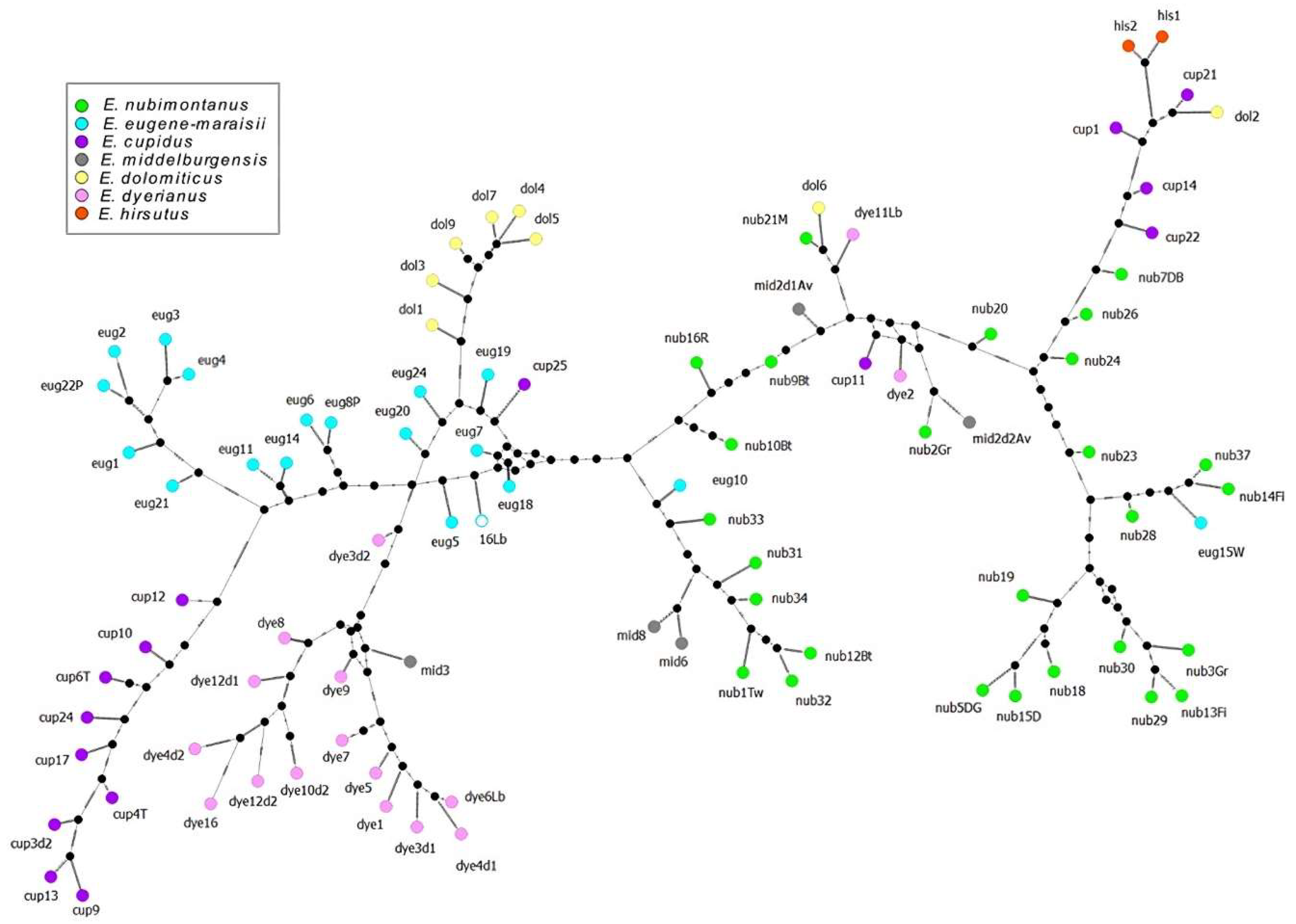 Preprints 104291 g006