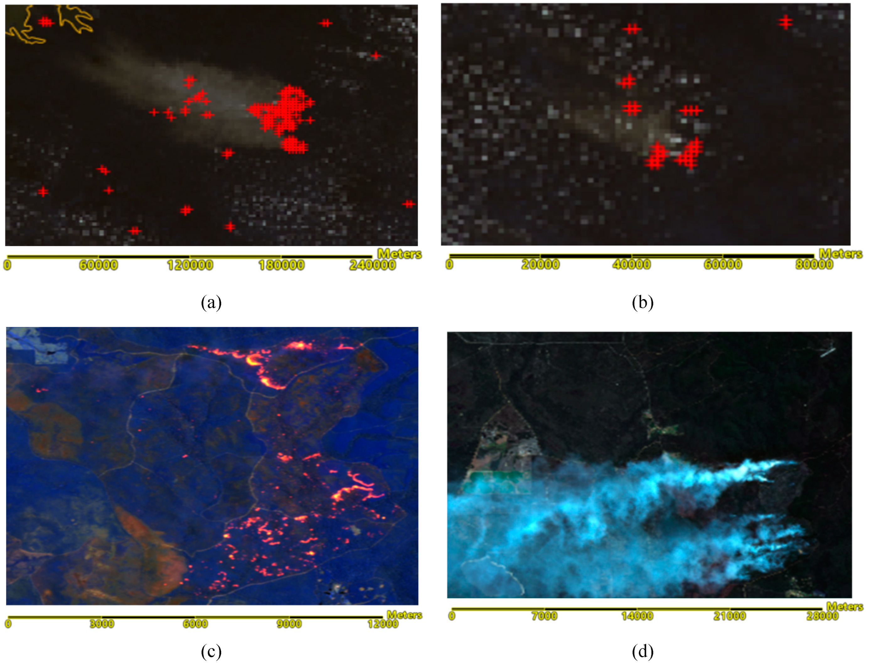 Preprints 119834 g003