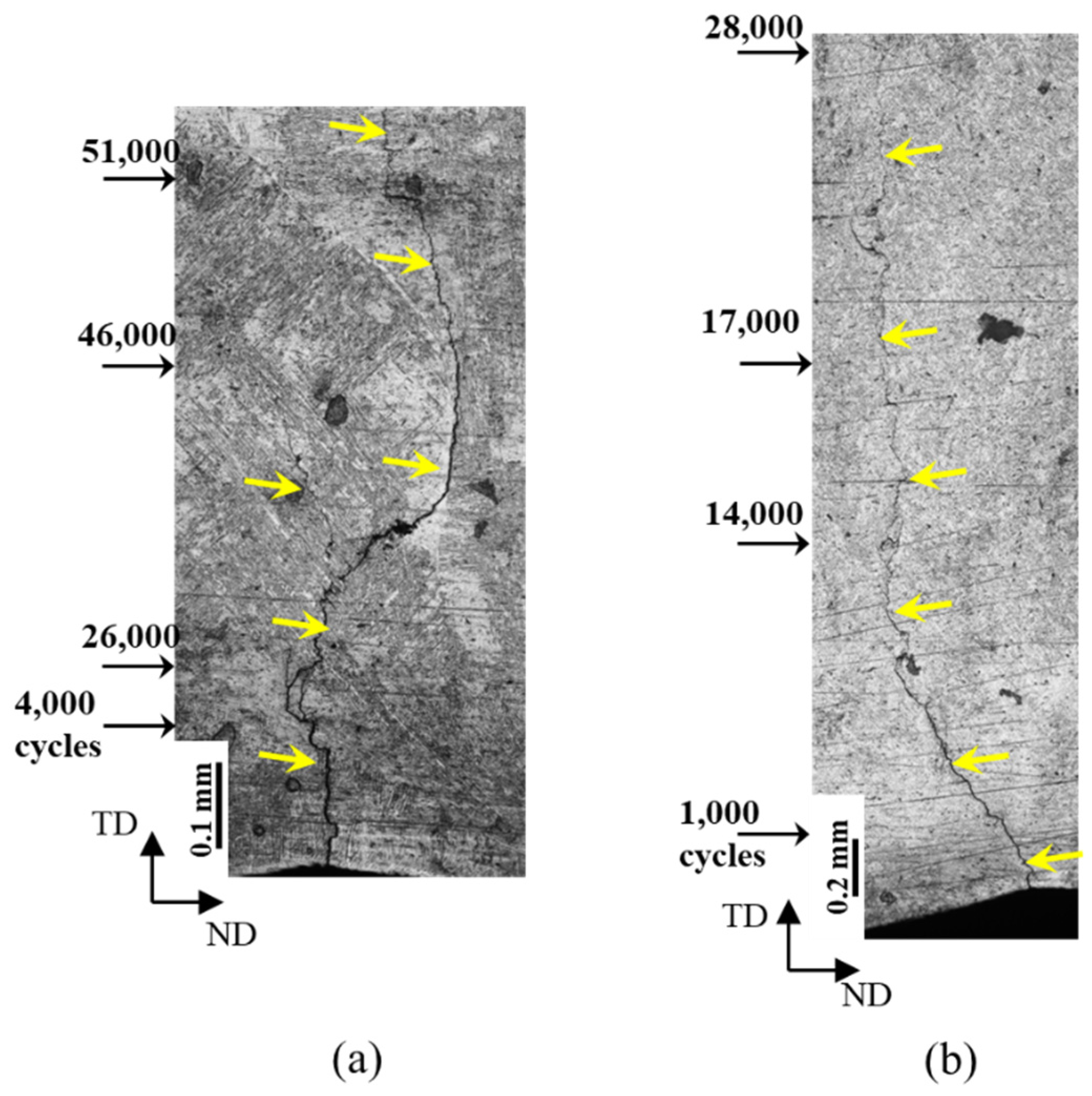 Preprints 75079 g011