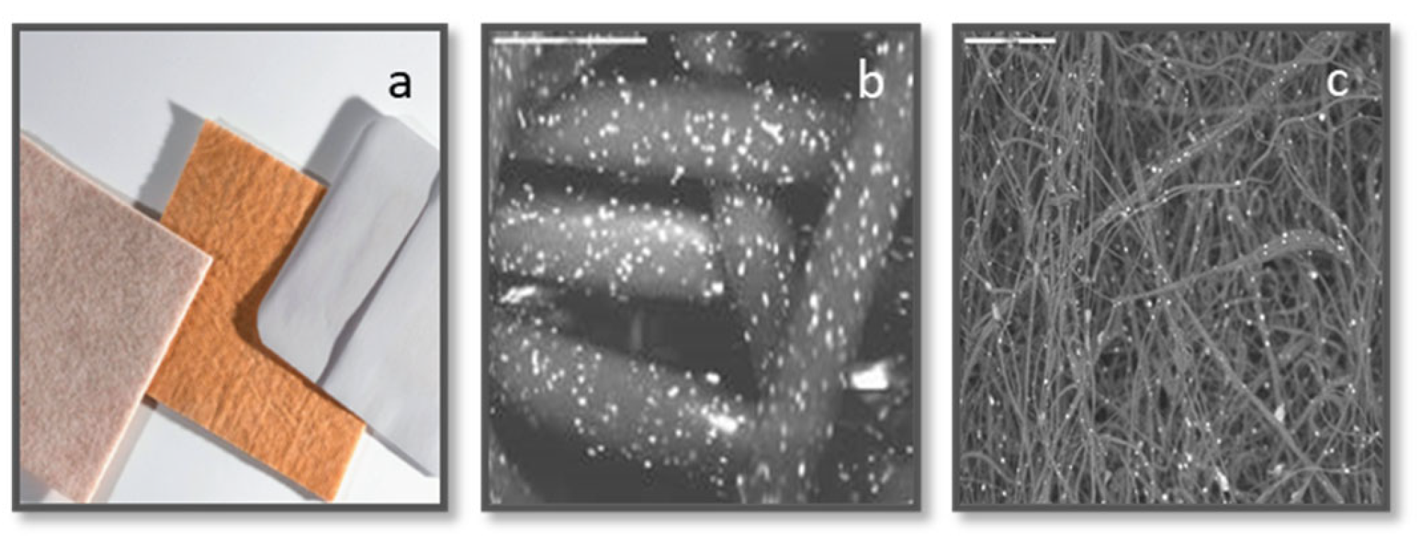 Preprints 119284 g001