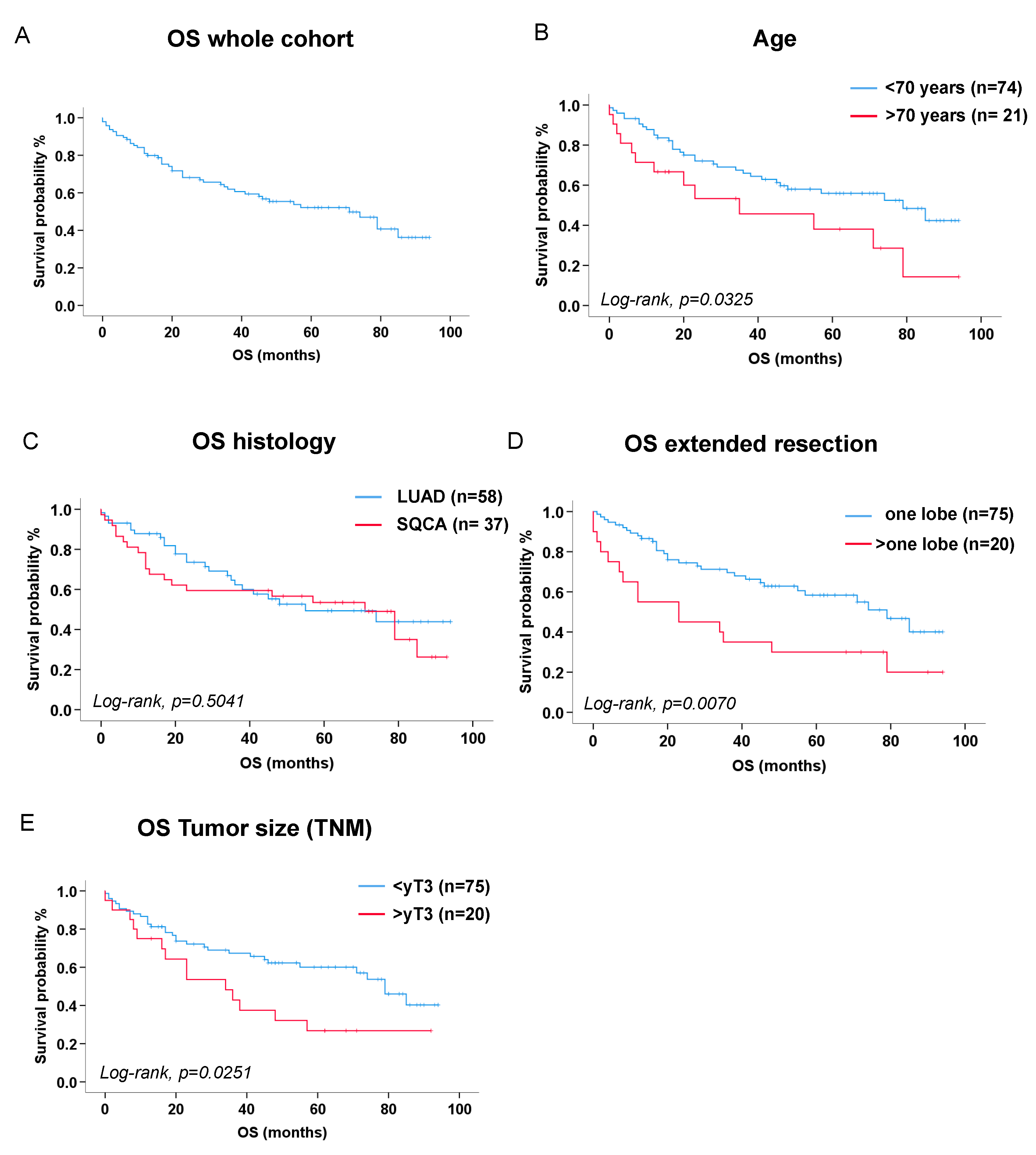 Preprints 111944 g002