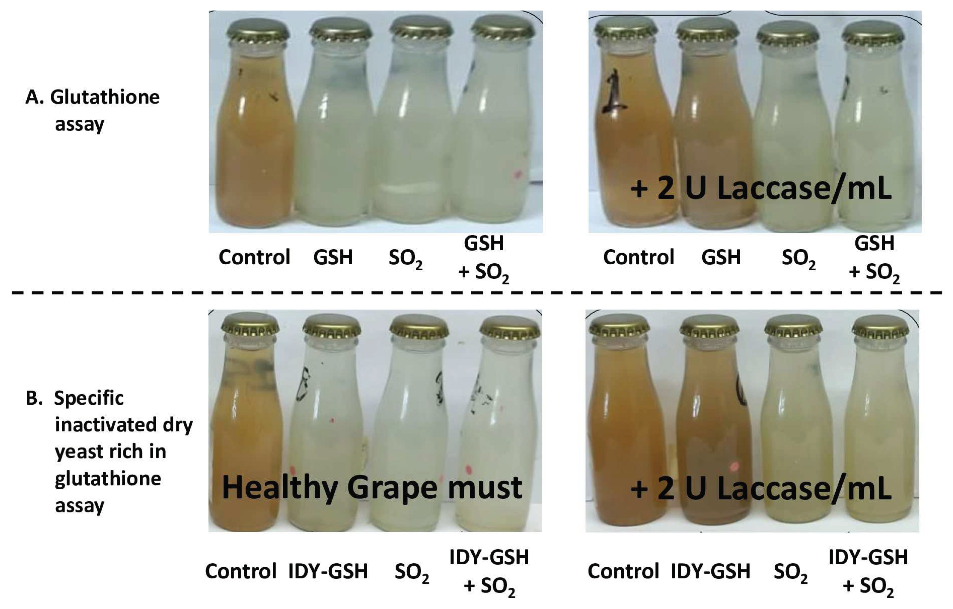 Preprints 92495 g006