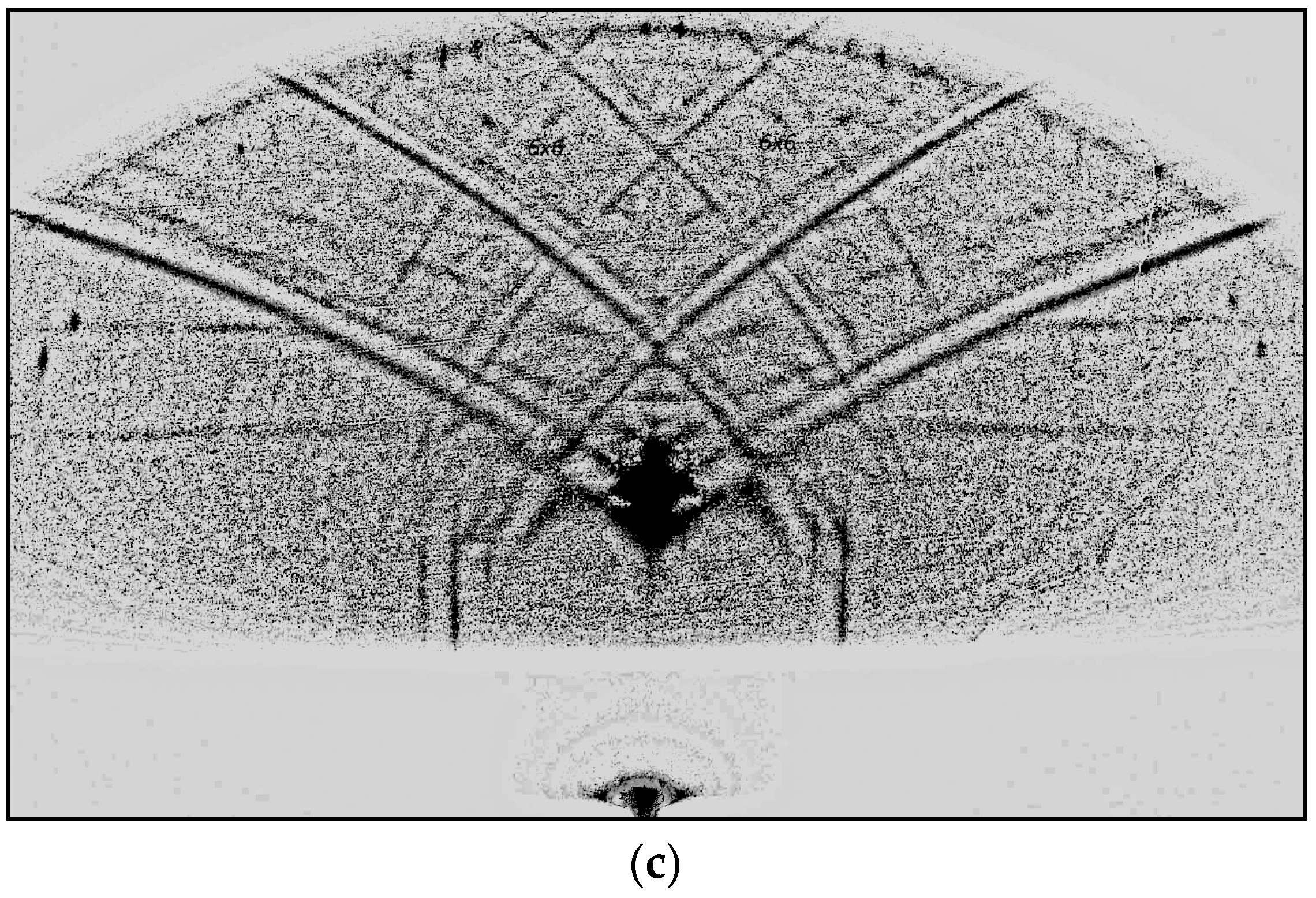 Preprints 75242 g001b