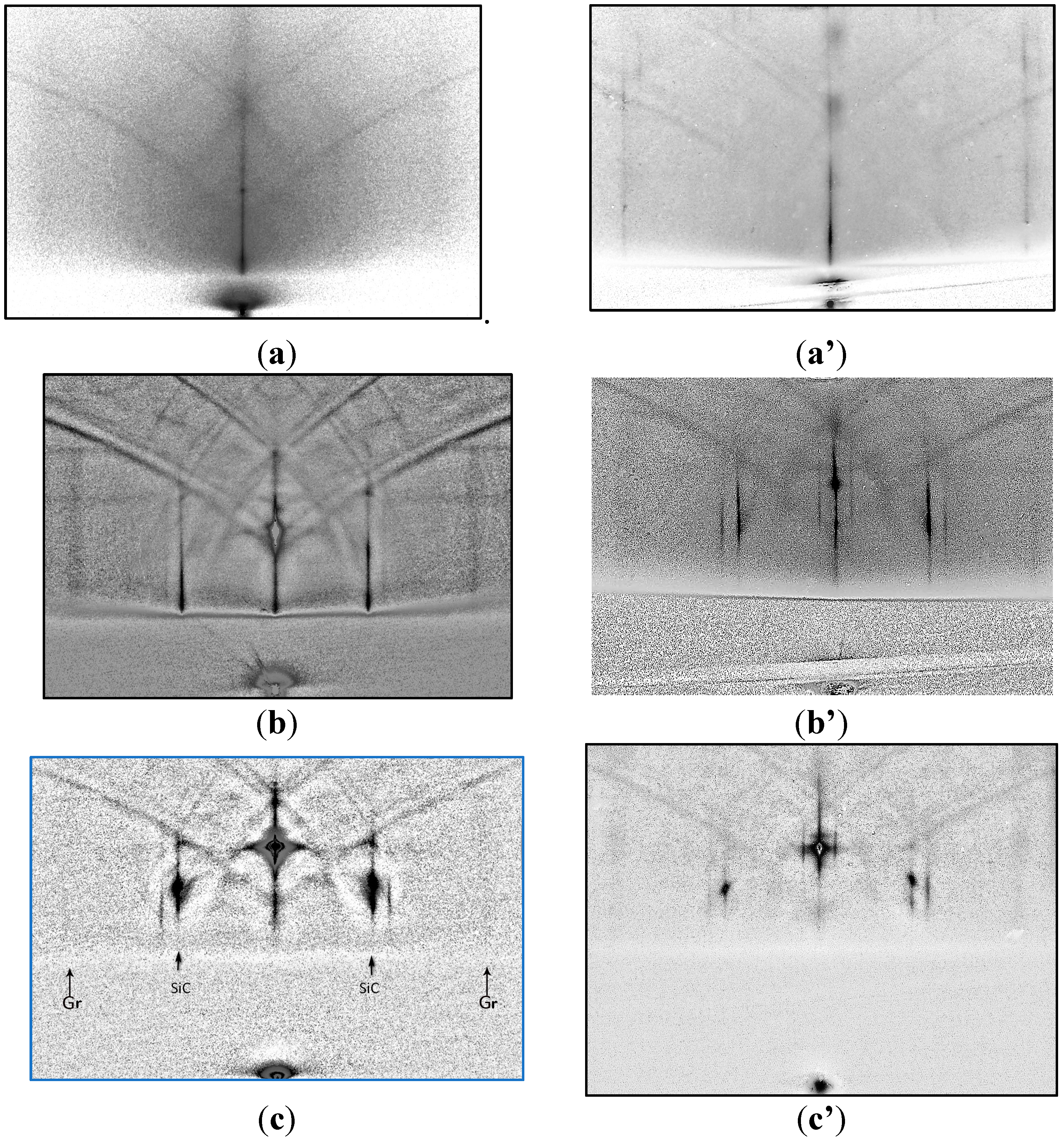 Preprints 75242 g002