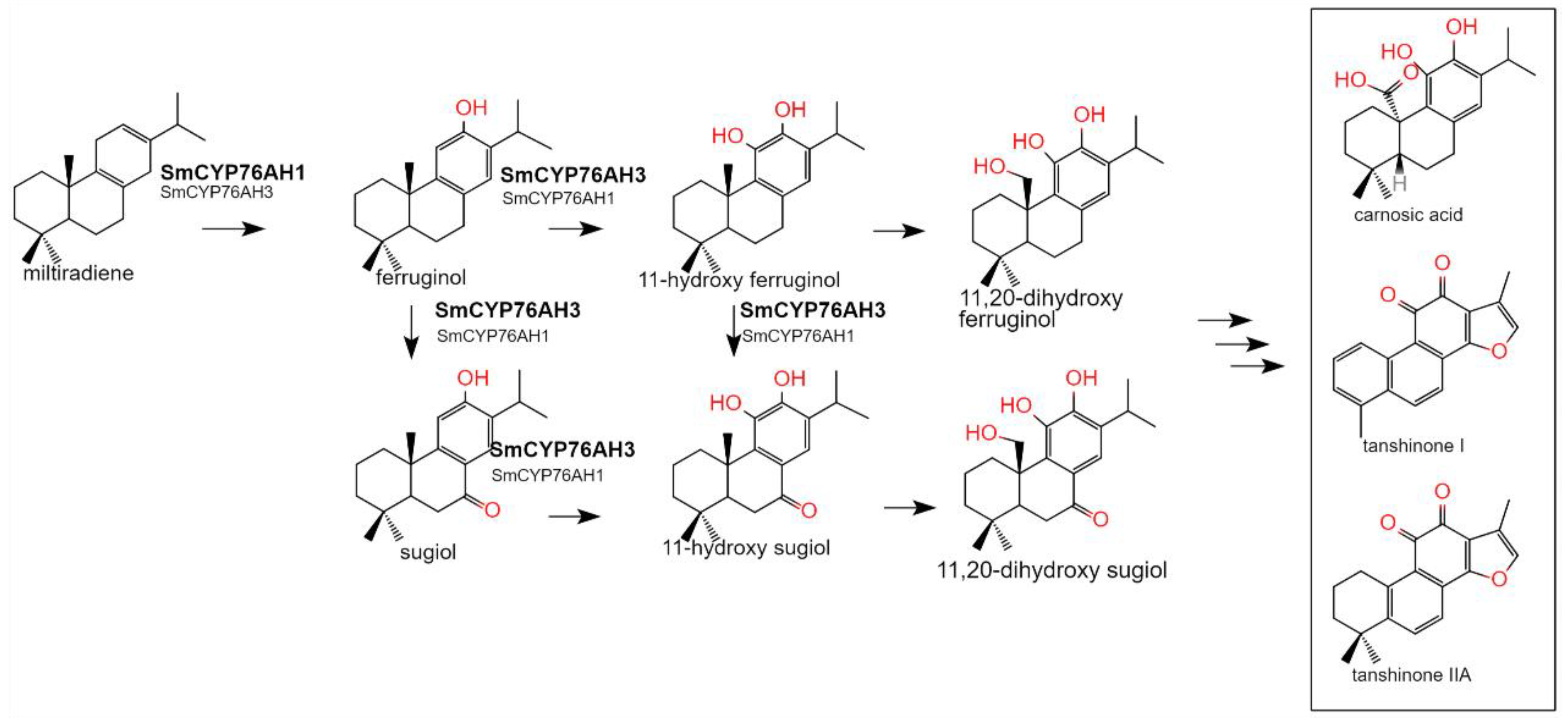 Preprints 74057 g001