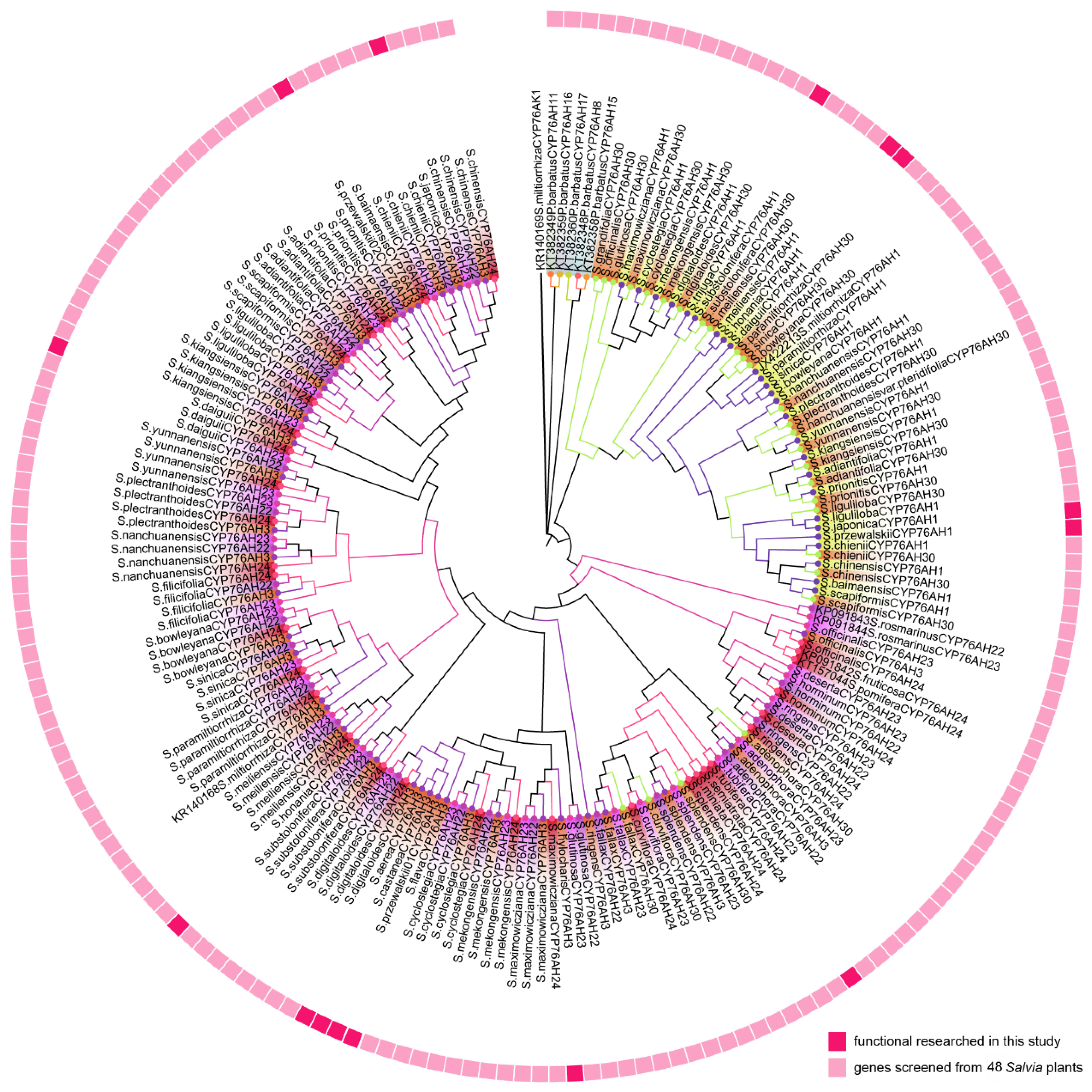 Preprints 74057 g003