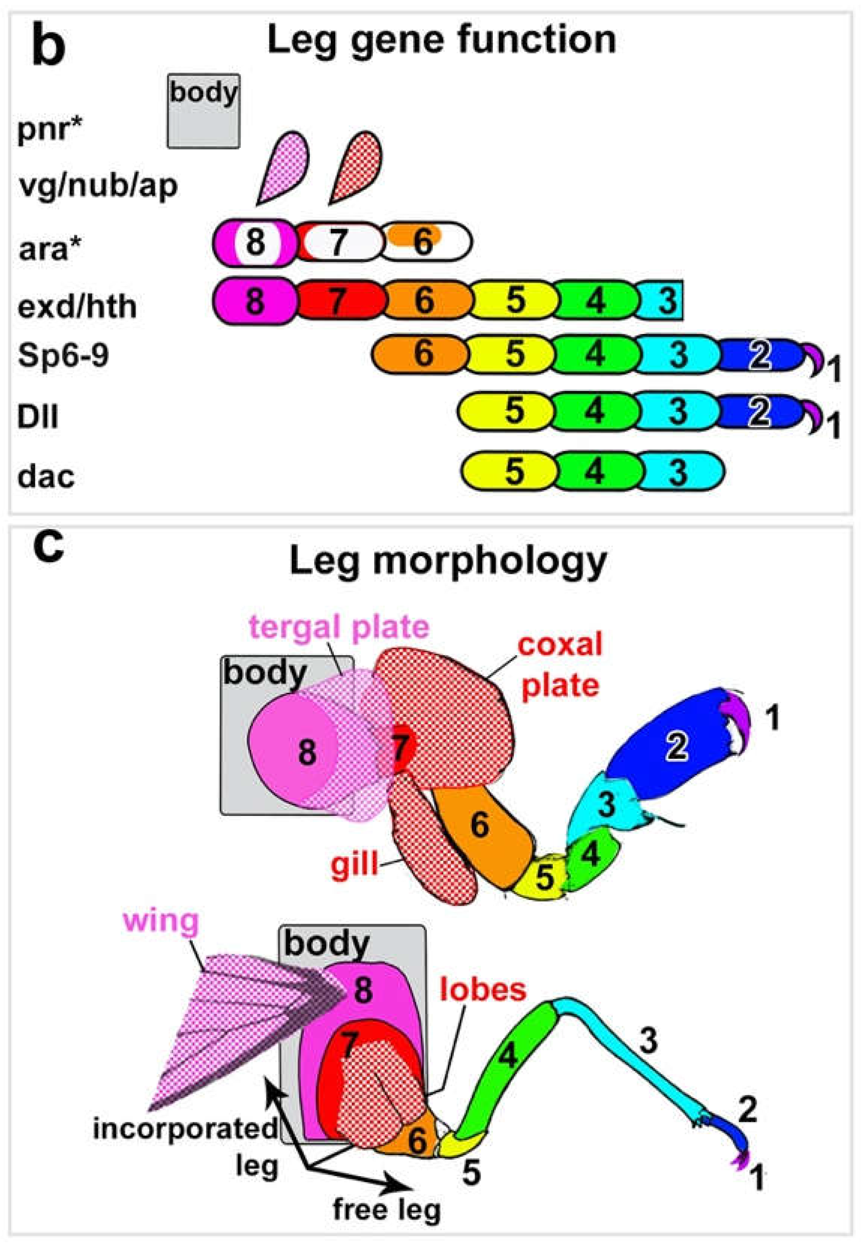 Preprints 69014 g001