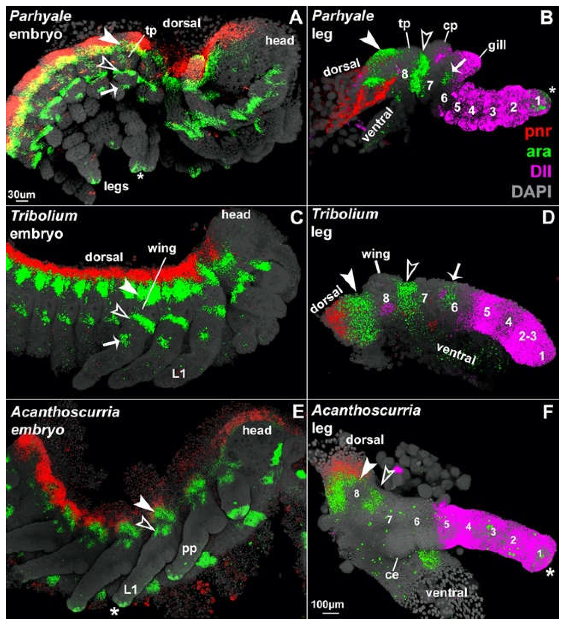 Preprints 69014 g002