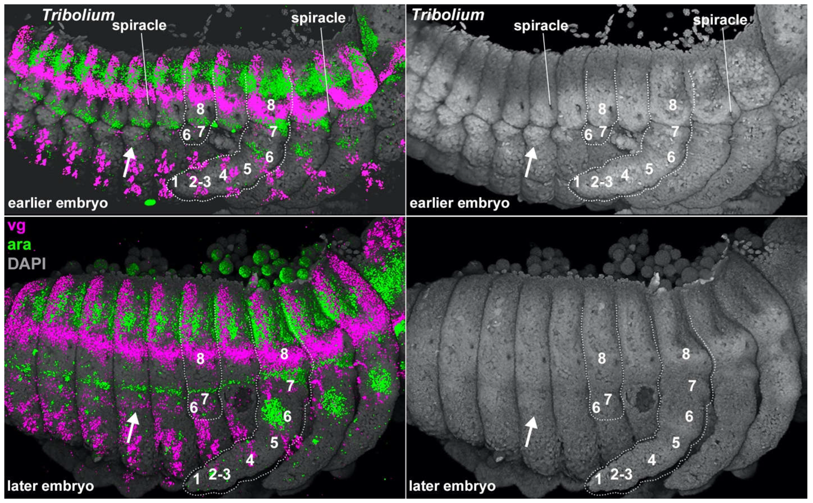 Preprints 69014 g003