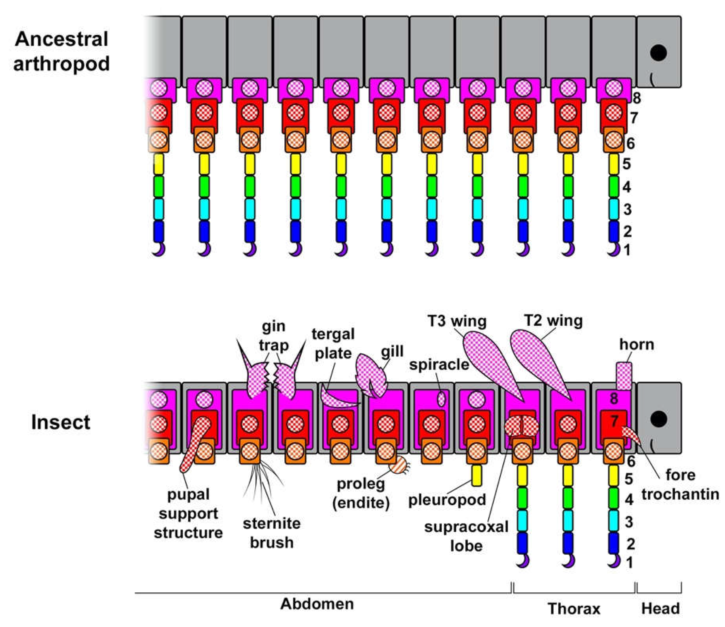 Preprints 69014 g004