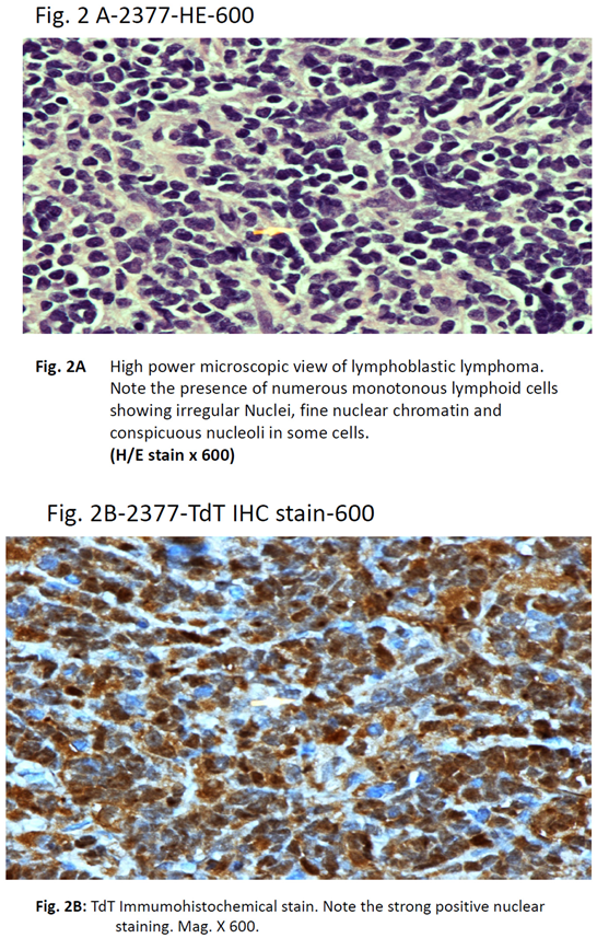 Preprints 120871 i002