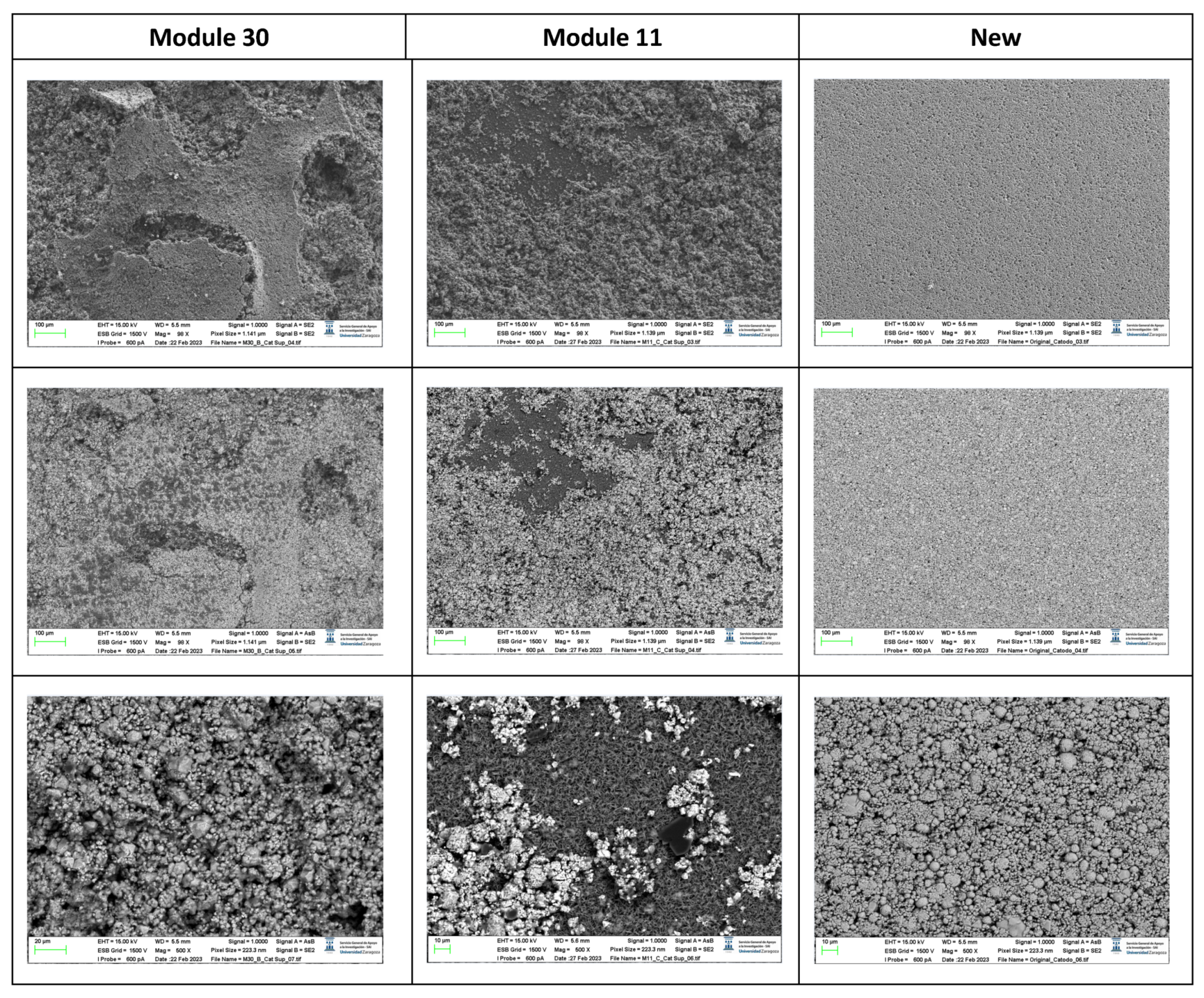 Preprints 91934 g018