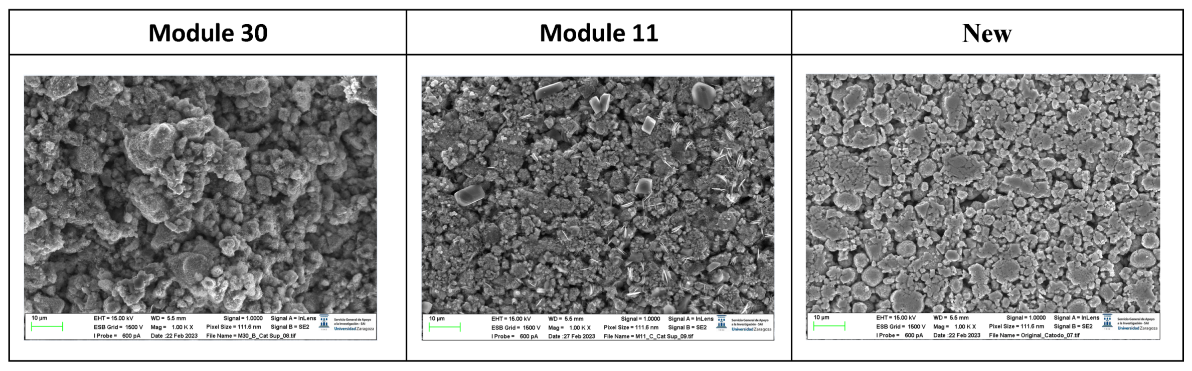 Preprints 91934 g020