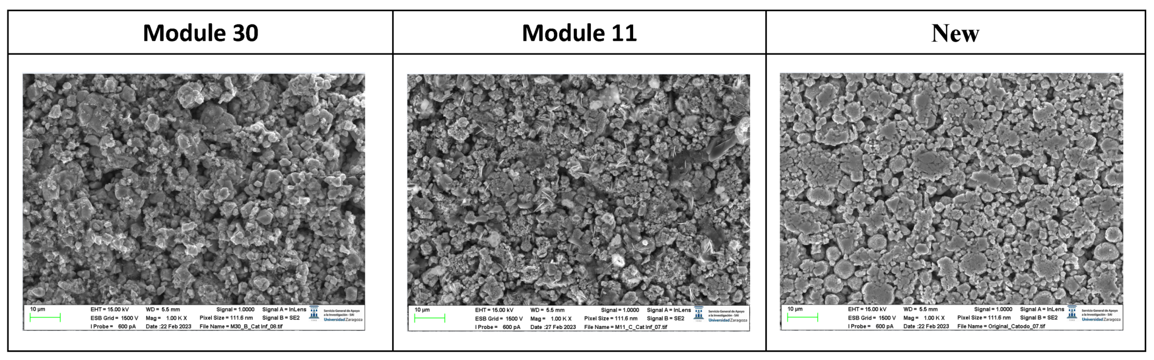 Preprints 91934 g021