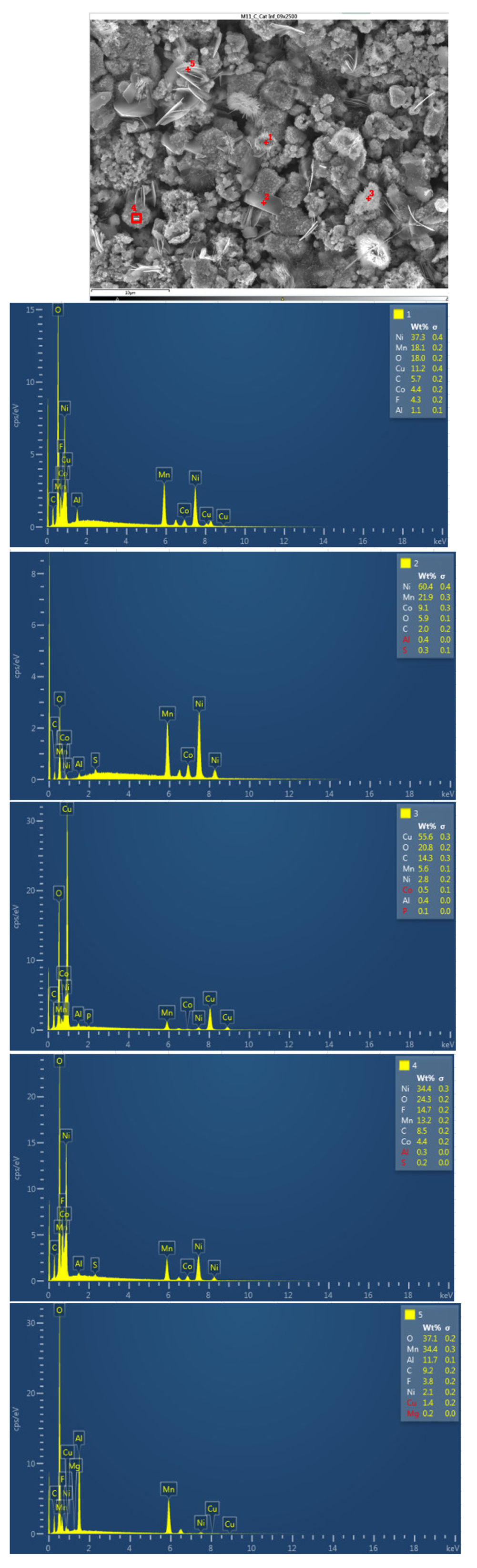 Preprints 91934 g028