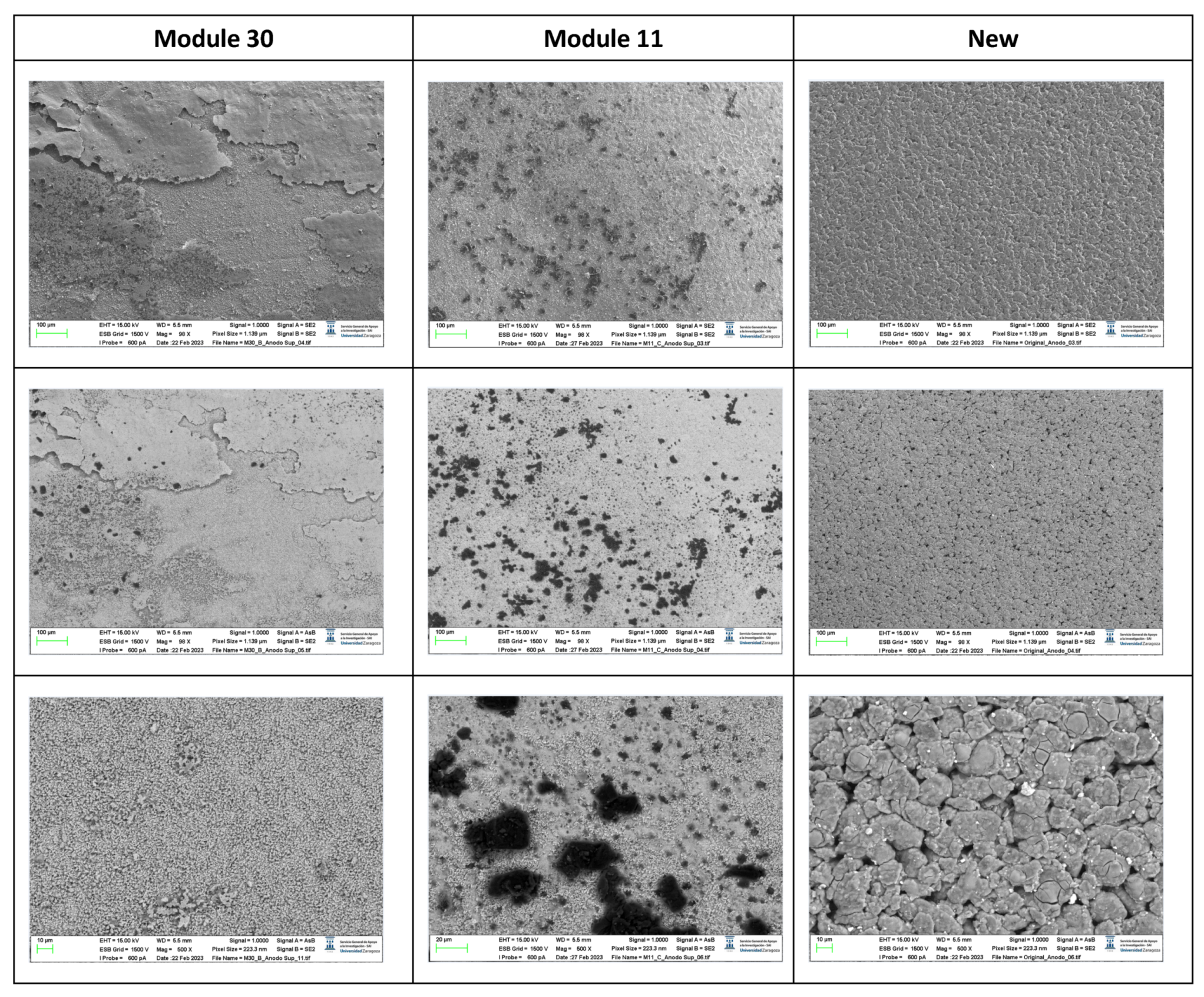 Preprints 91934 g029