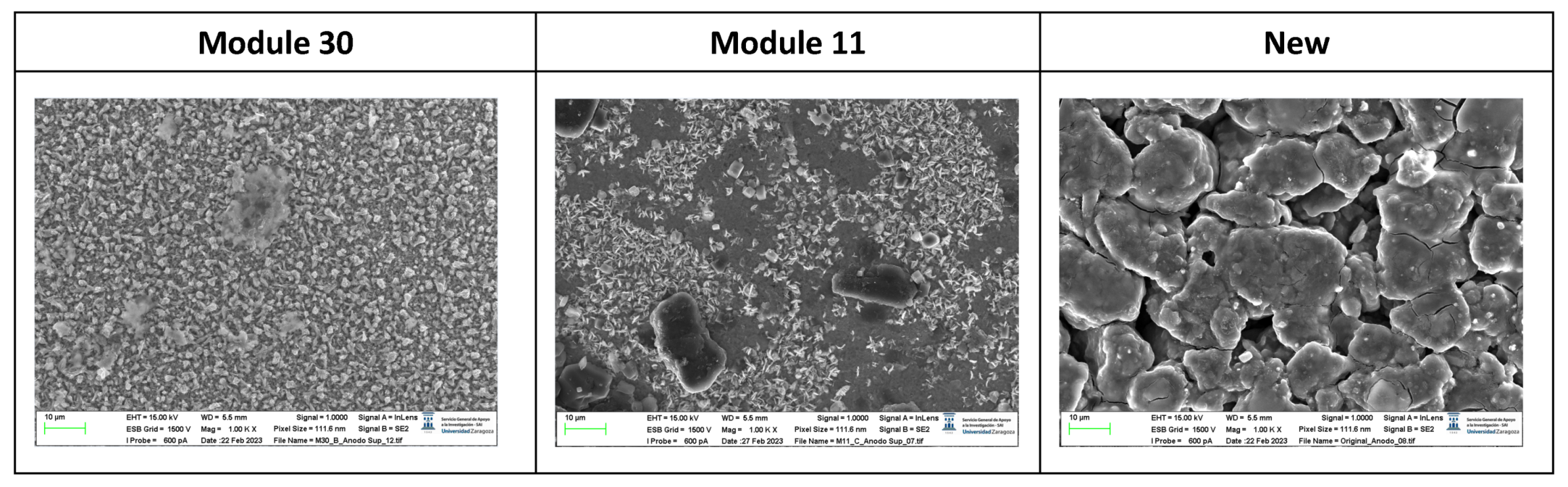 Preprints 91934 g032