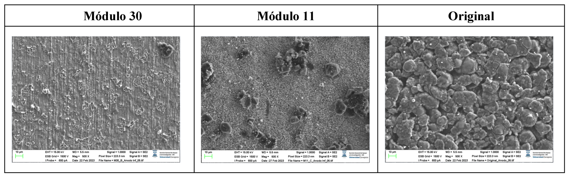 Preprints 91934 g033